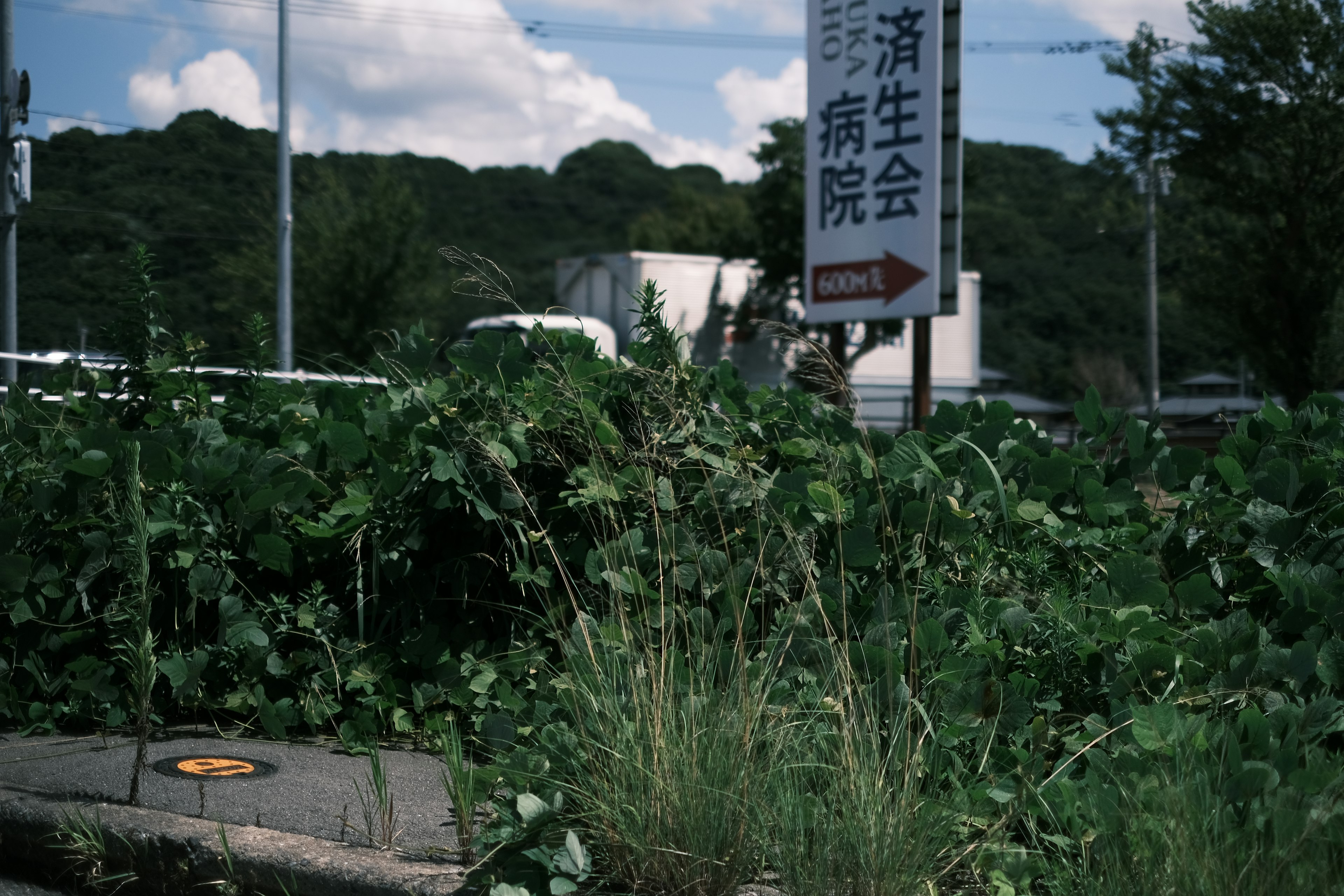 Un panneau à côté d'un trottoir envahi par les mauvaises herbes et des collines en arrière-plan