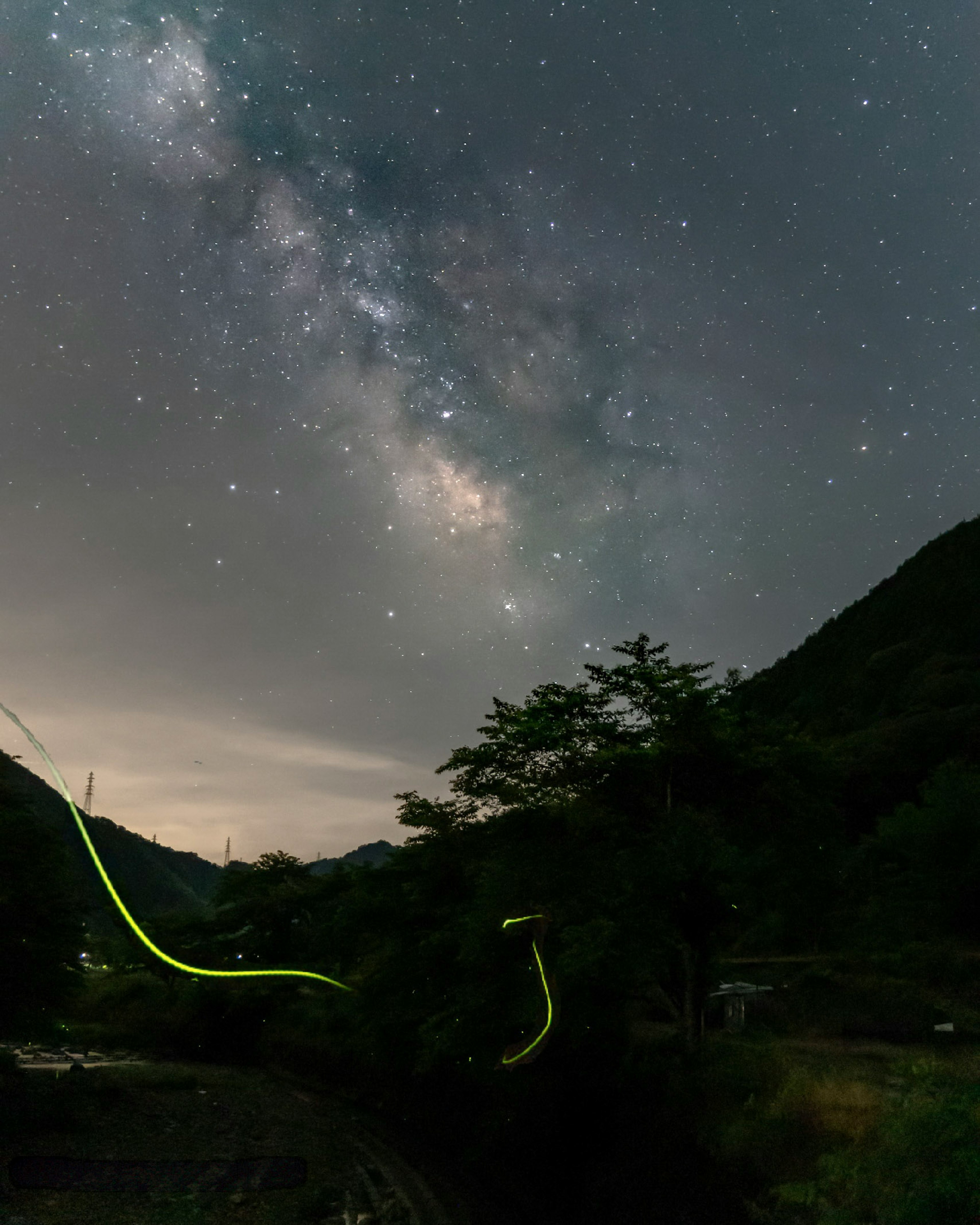 星空と蛍の光が共演する夜の風景