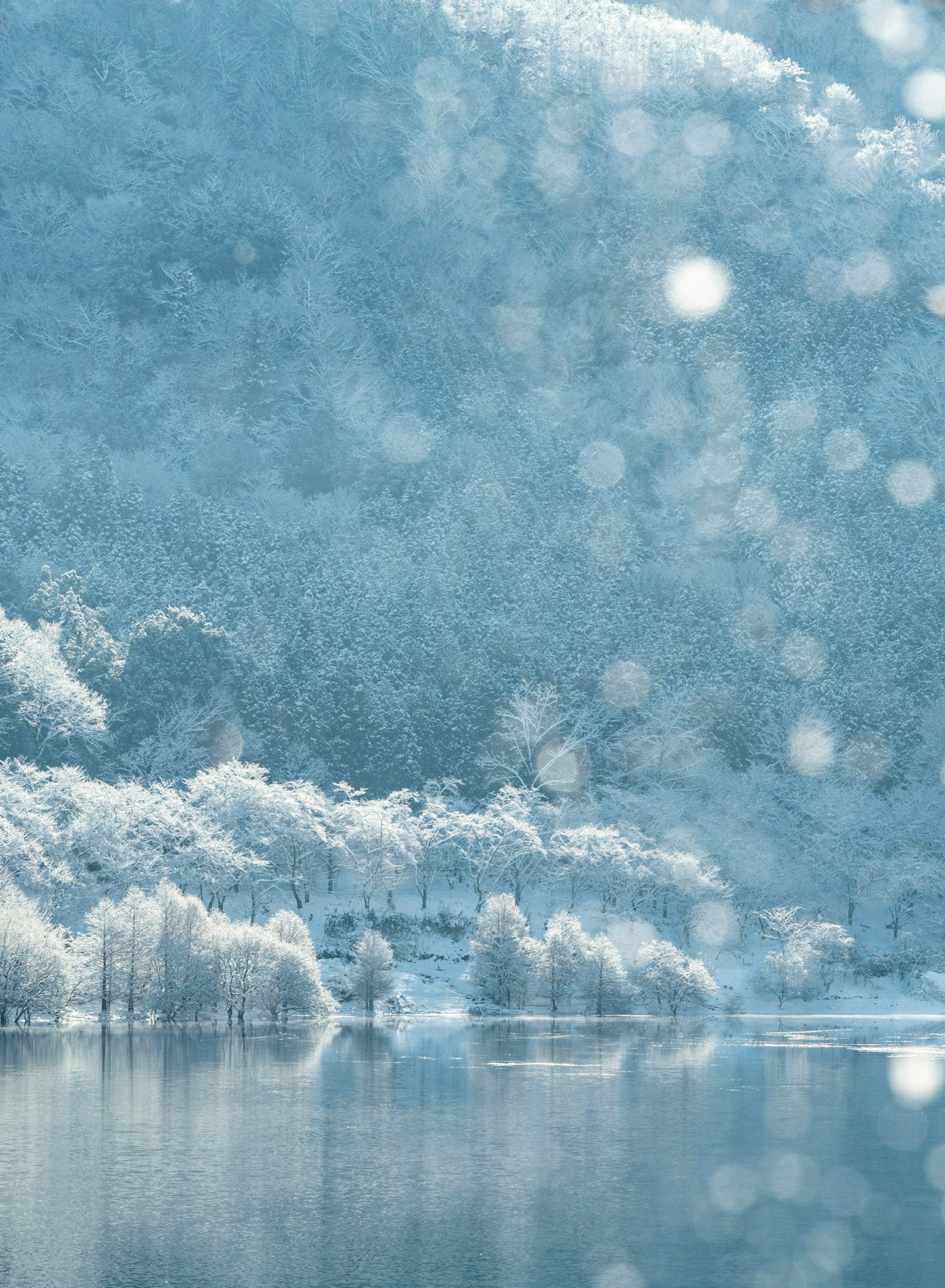 Paesaggio innevato blu con un lago e alberi nebbiosi