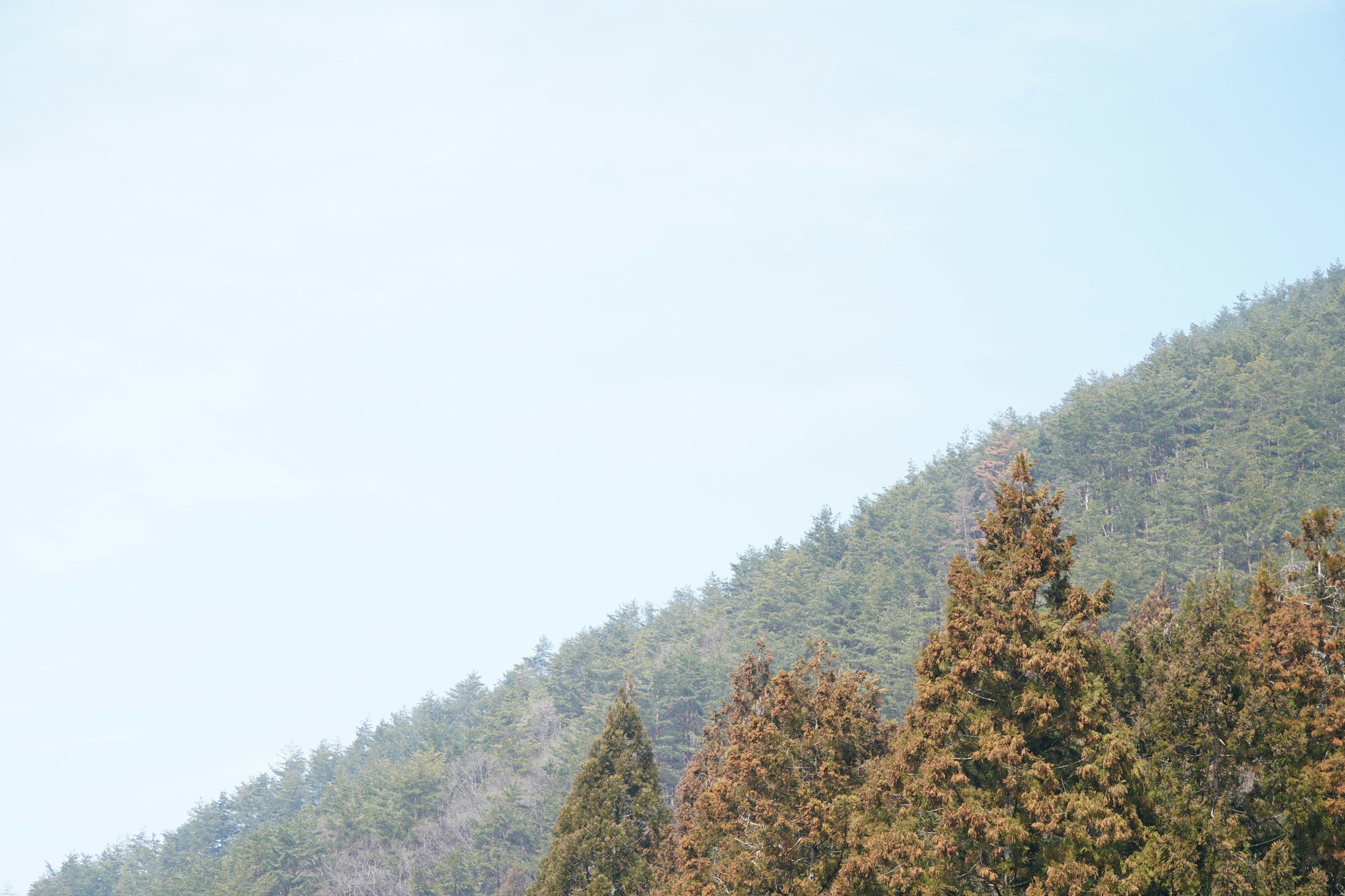 青空と緑の山が広がる風景