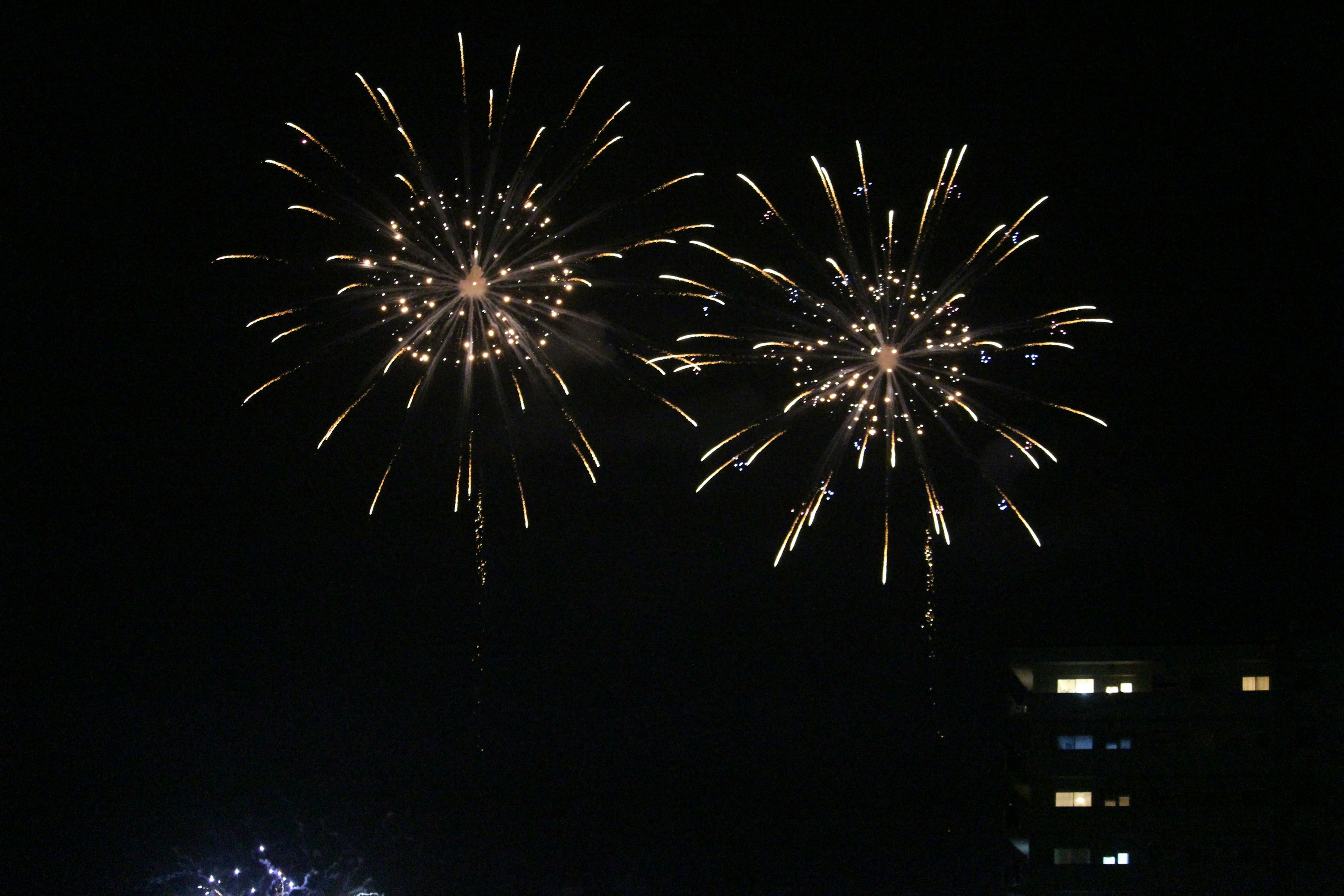 Fireworks display in the night sky bright colors and various patterns