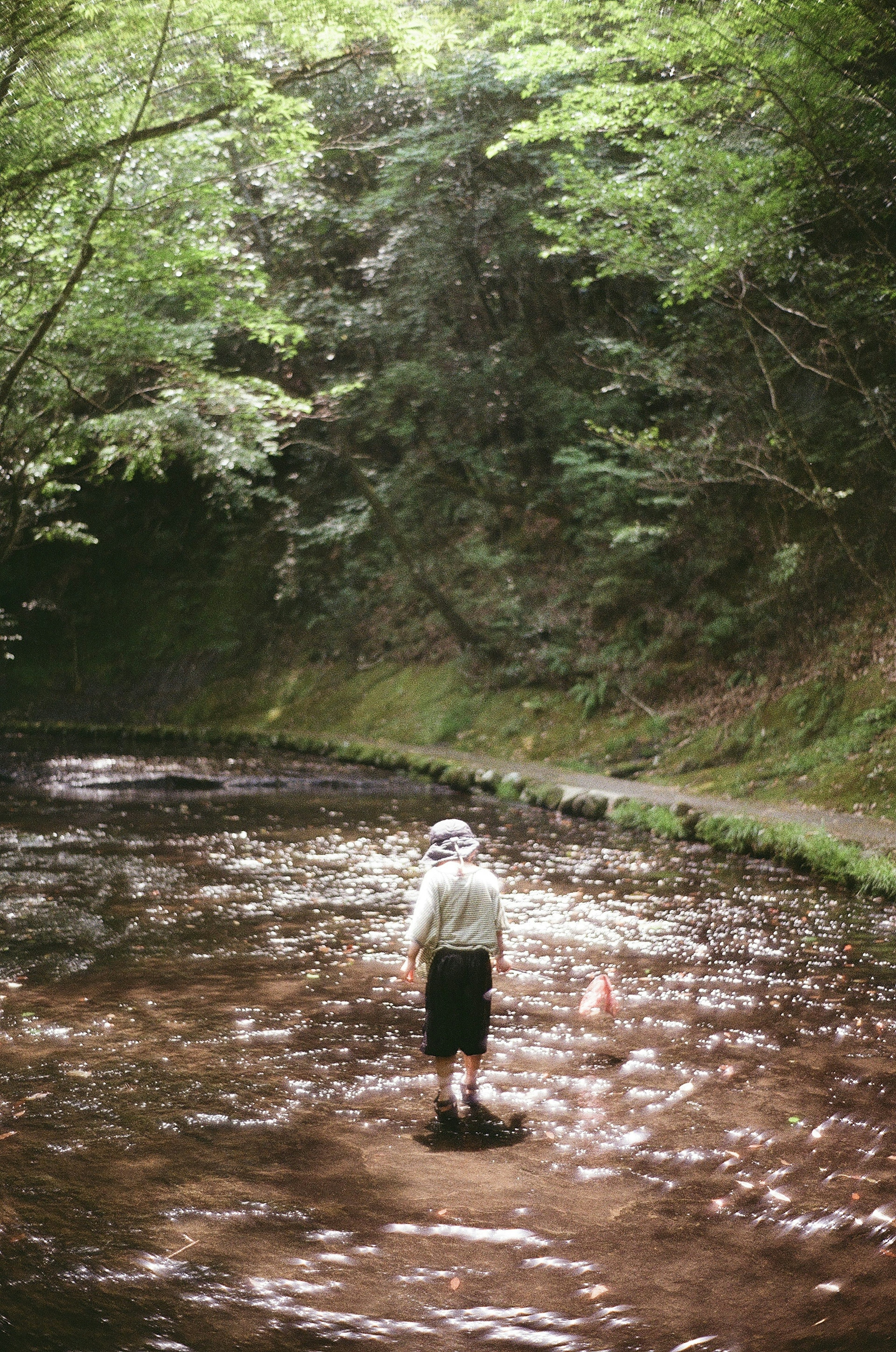 Person standing in a calm river surrounded by lush greenery