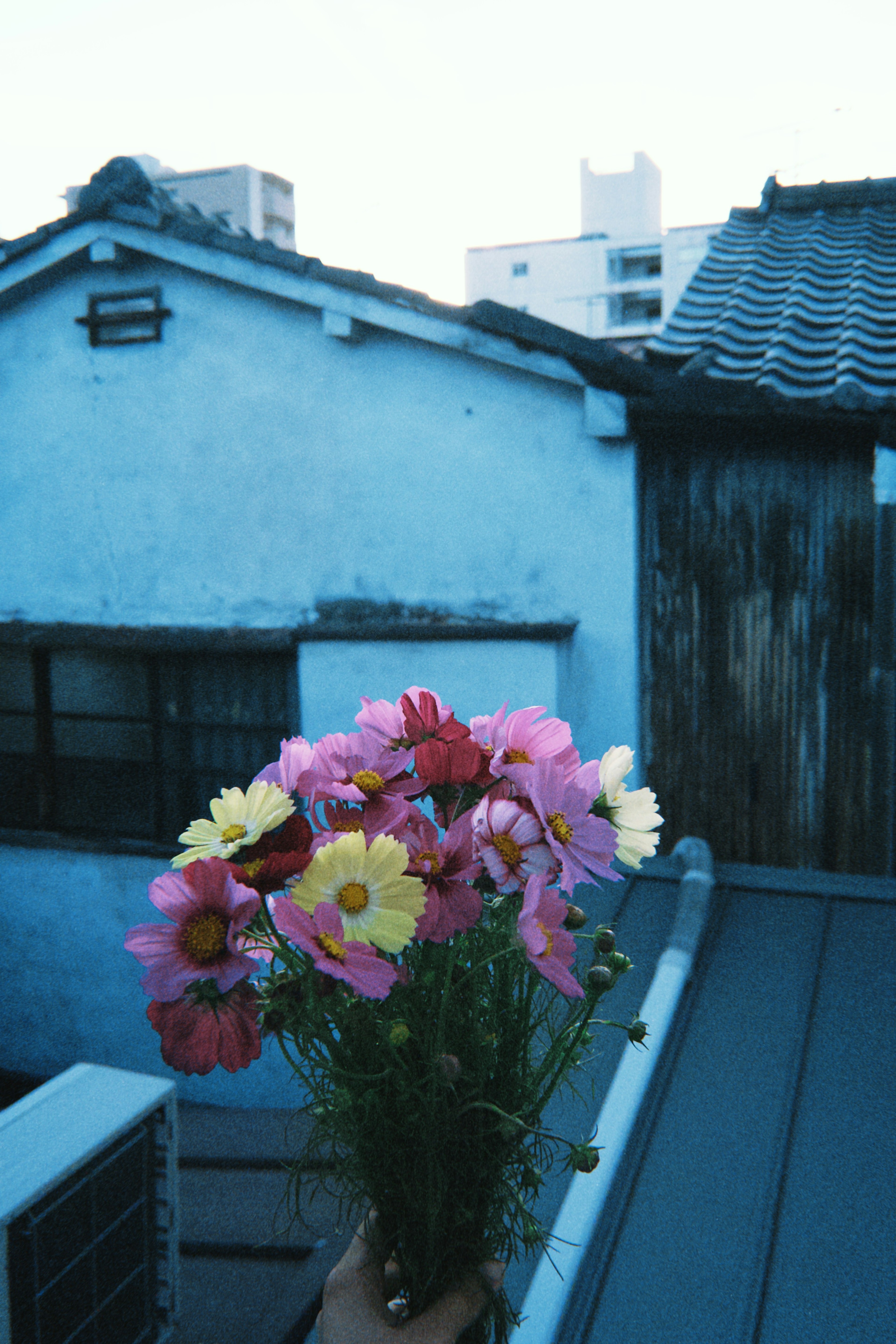 Una mano che tiene un bouquet colorato di fiori su uno sfondo blu