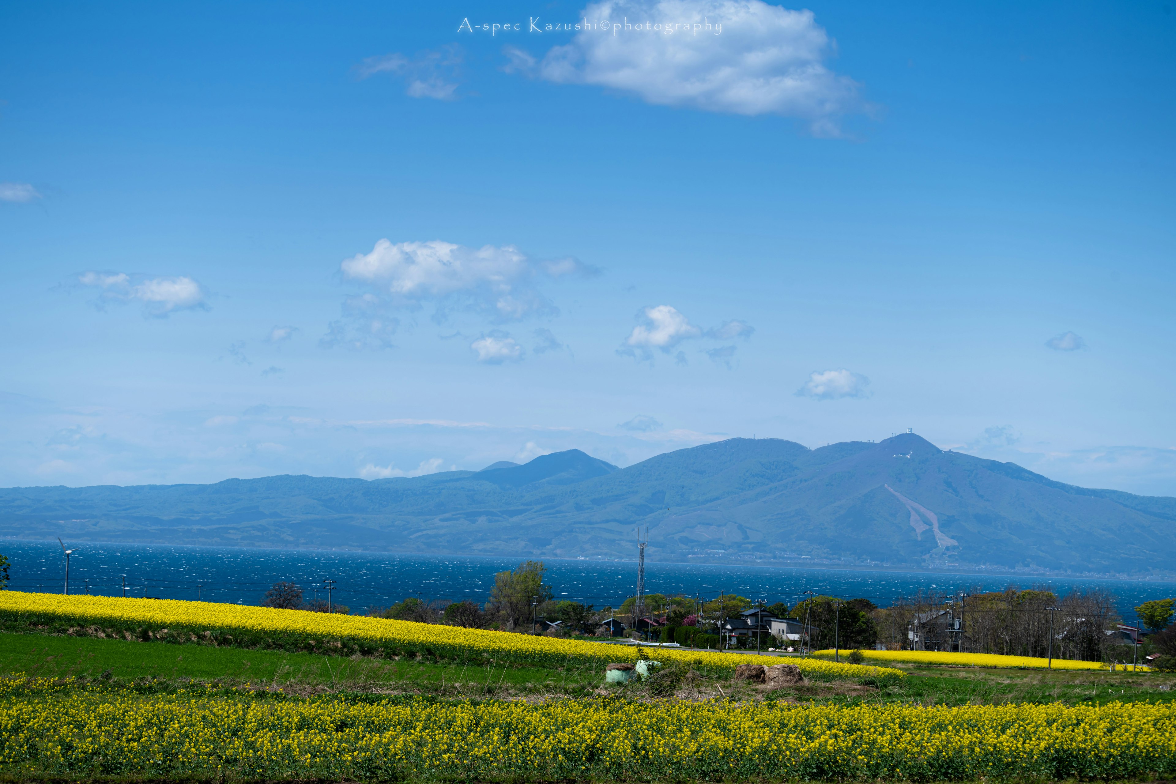 青い空と雲の下に広がる黄色い花畑と山々の風景