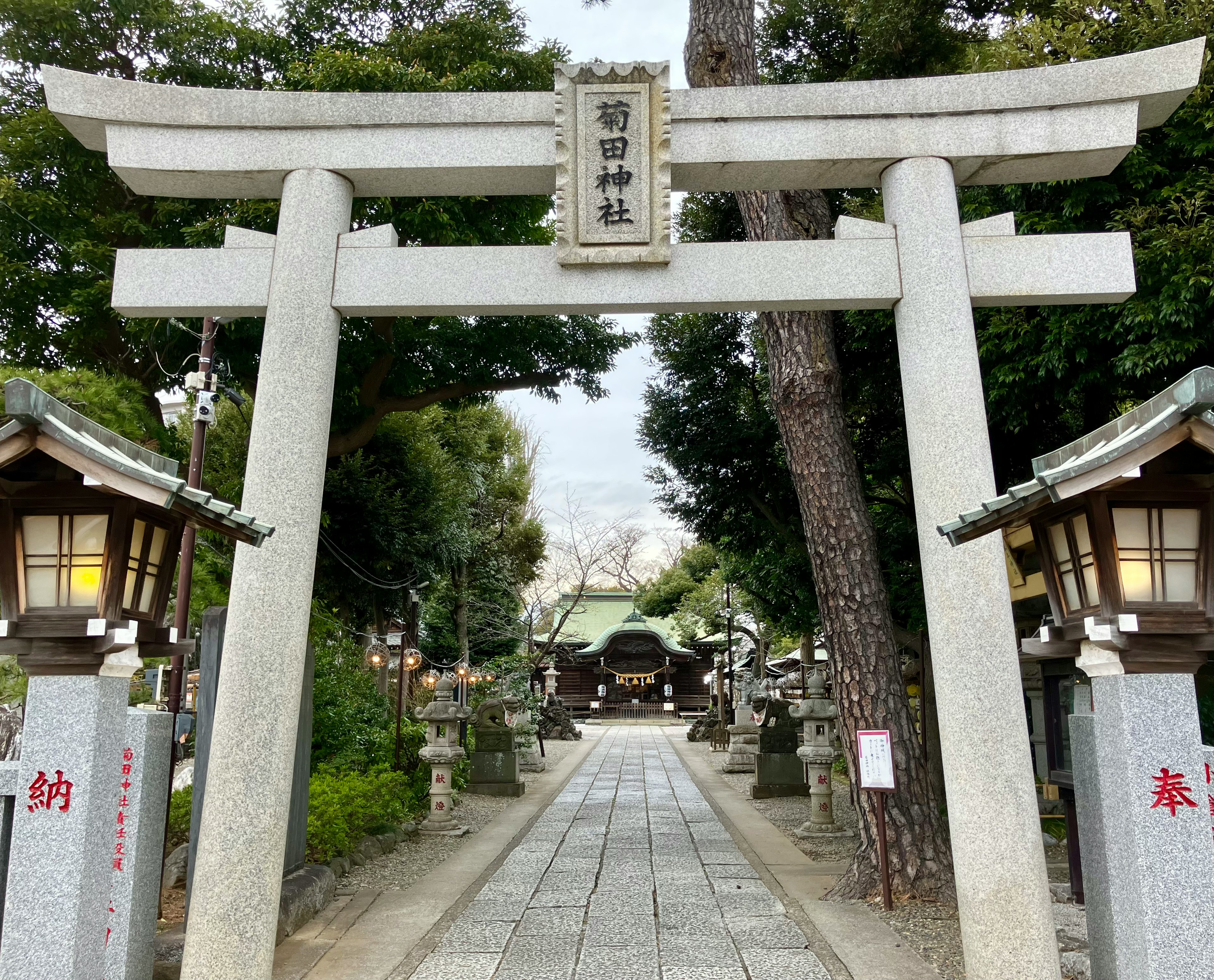 鳥居と参道が見える神社の入口の風景