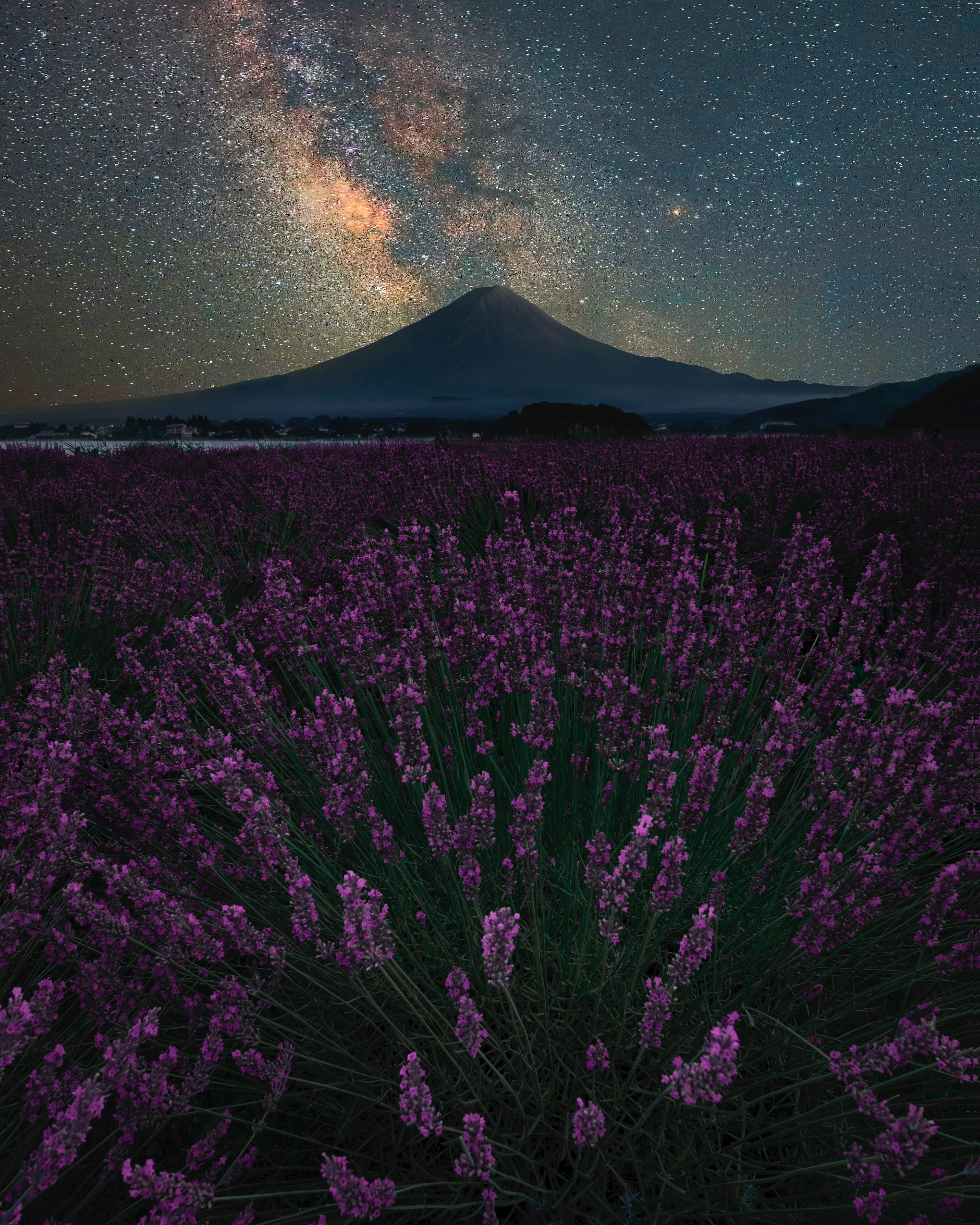 富士山と星空を背景にしたラベンダー畑の美しい風景