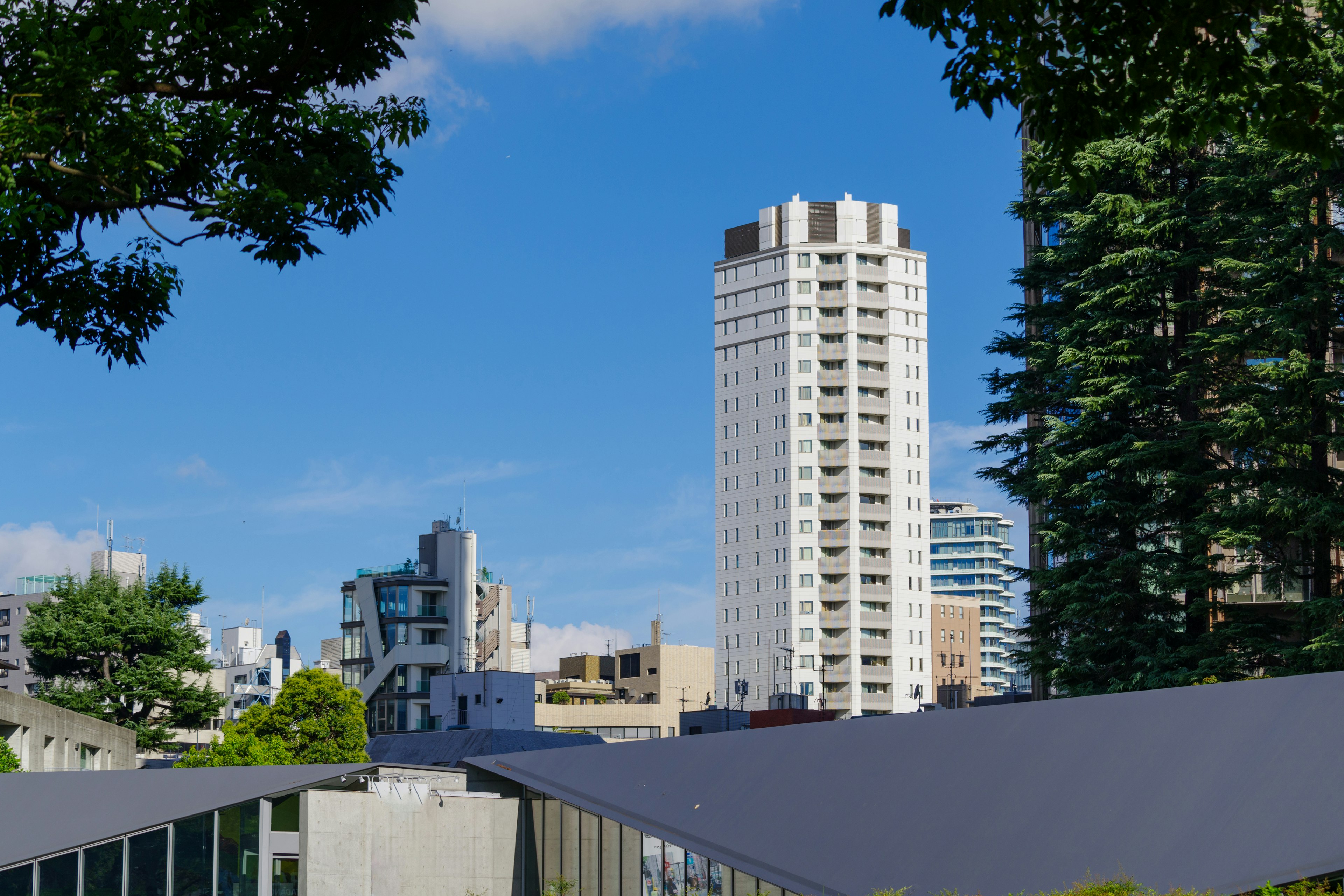 Tall building under blue sky with green trees