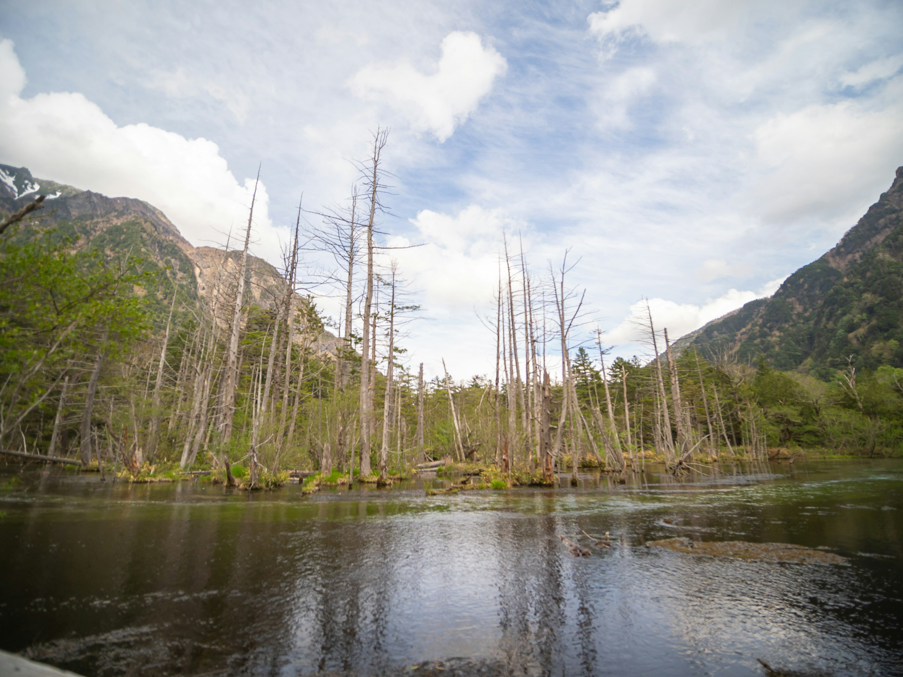 Vue sereine d'un lac avec des arbres morts montagnes et ciel bleu en arrière-plan