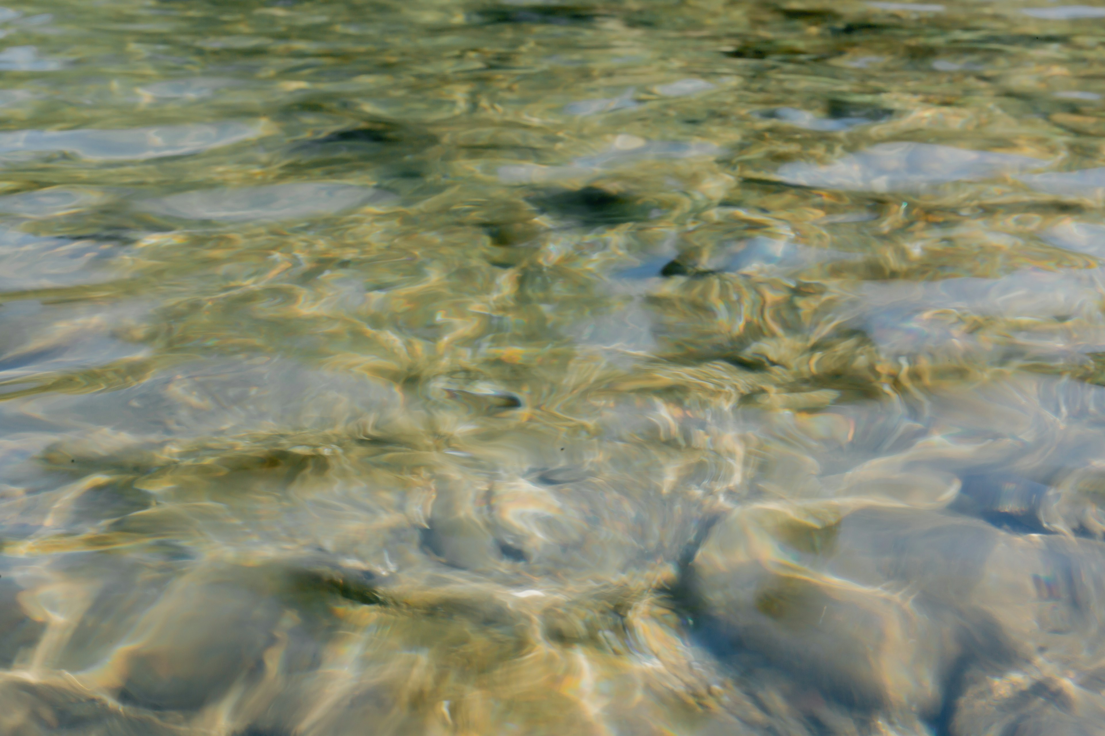 Klare Wasseroberfläche, die natürliche Muster und Farbtöne reflektiert