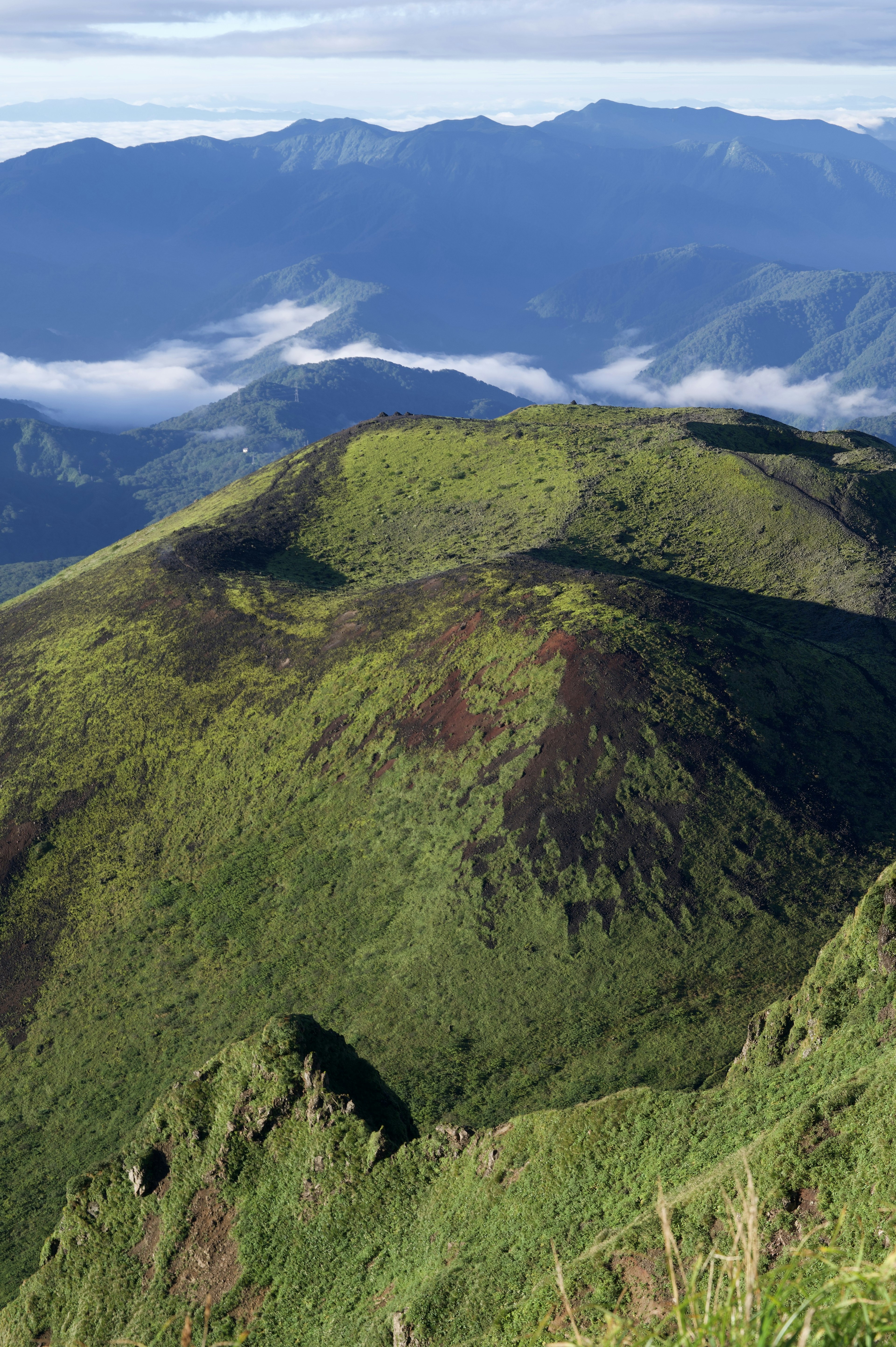 郁郁蔥蔥的山脈與雲海背景