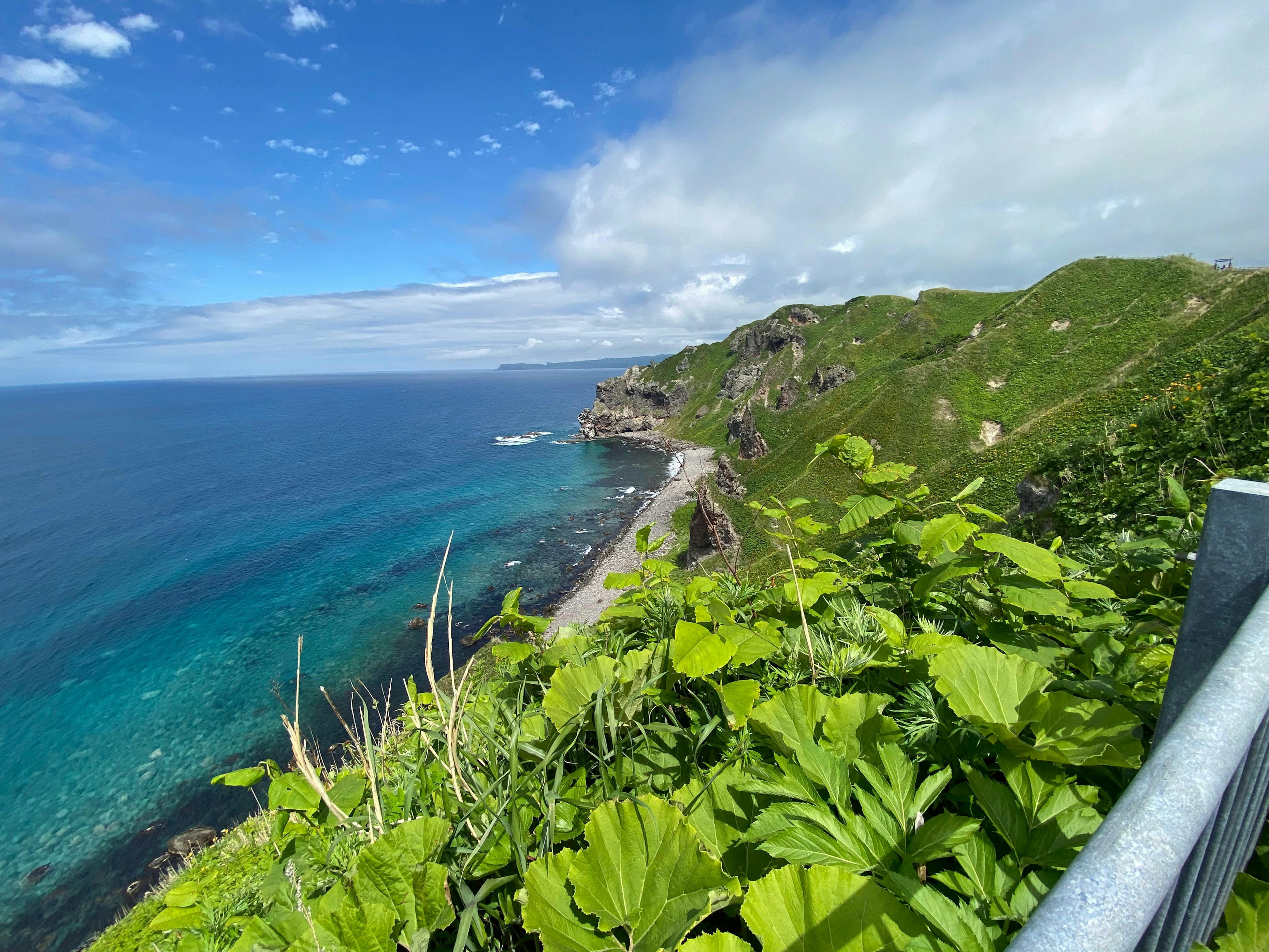 Vue côtière avec océan bleu et collines vertes