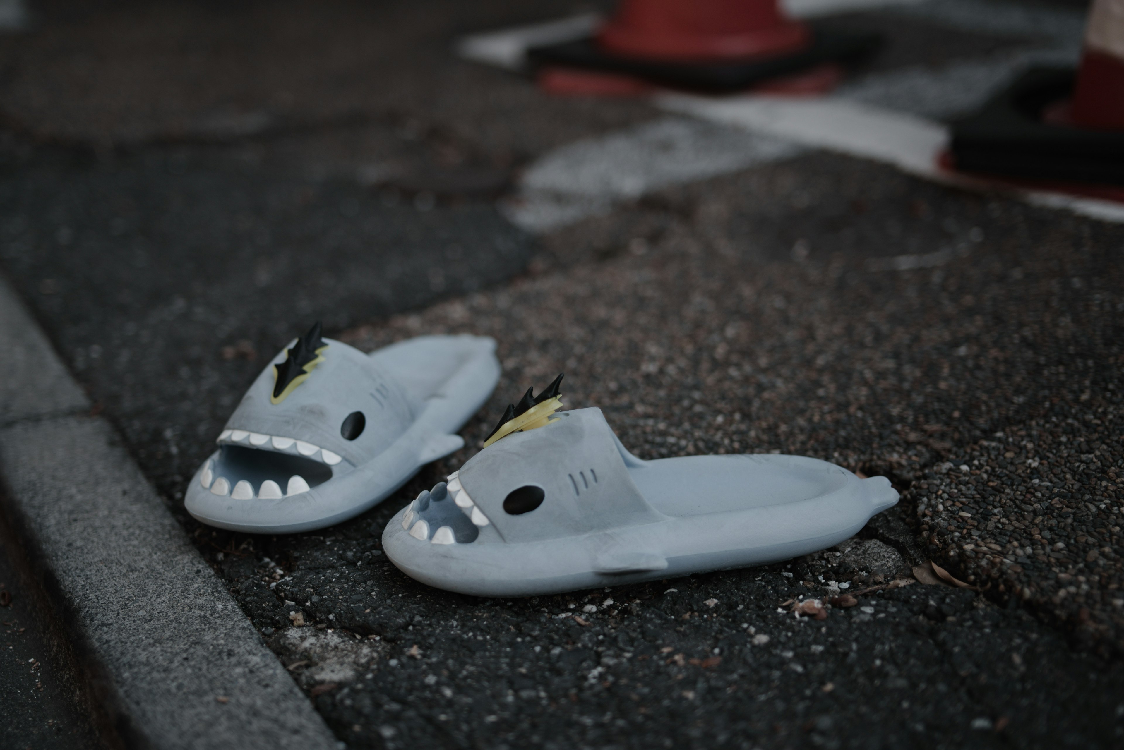 Chaussons à thème requin blancs posés sur le sol