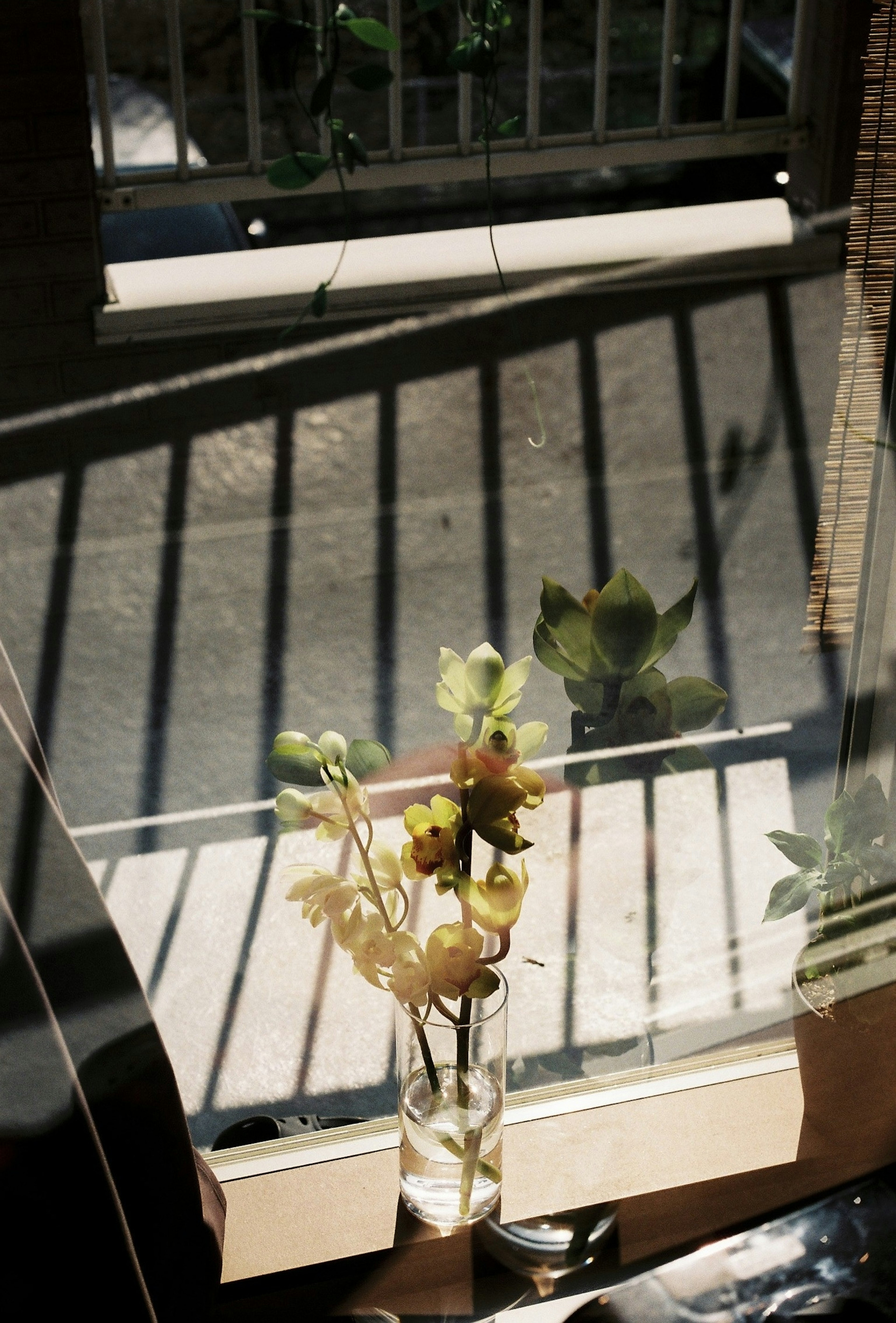 窓辺に置かれた花瓶の中の花と影のある風景