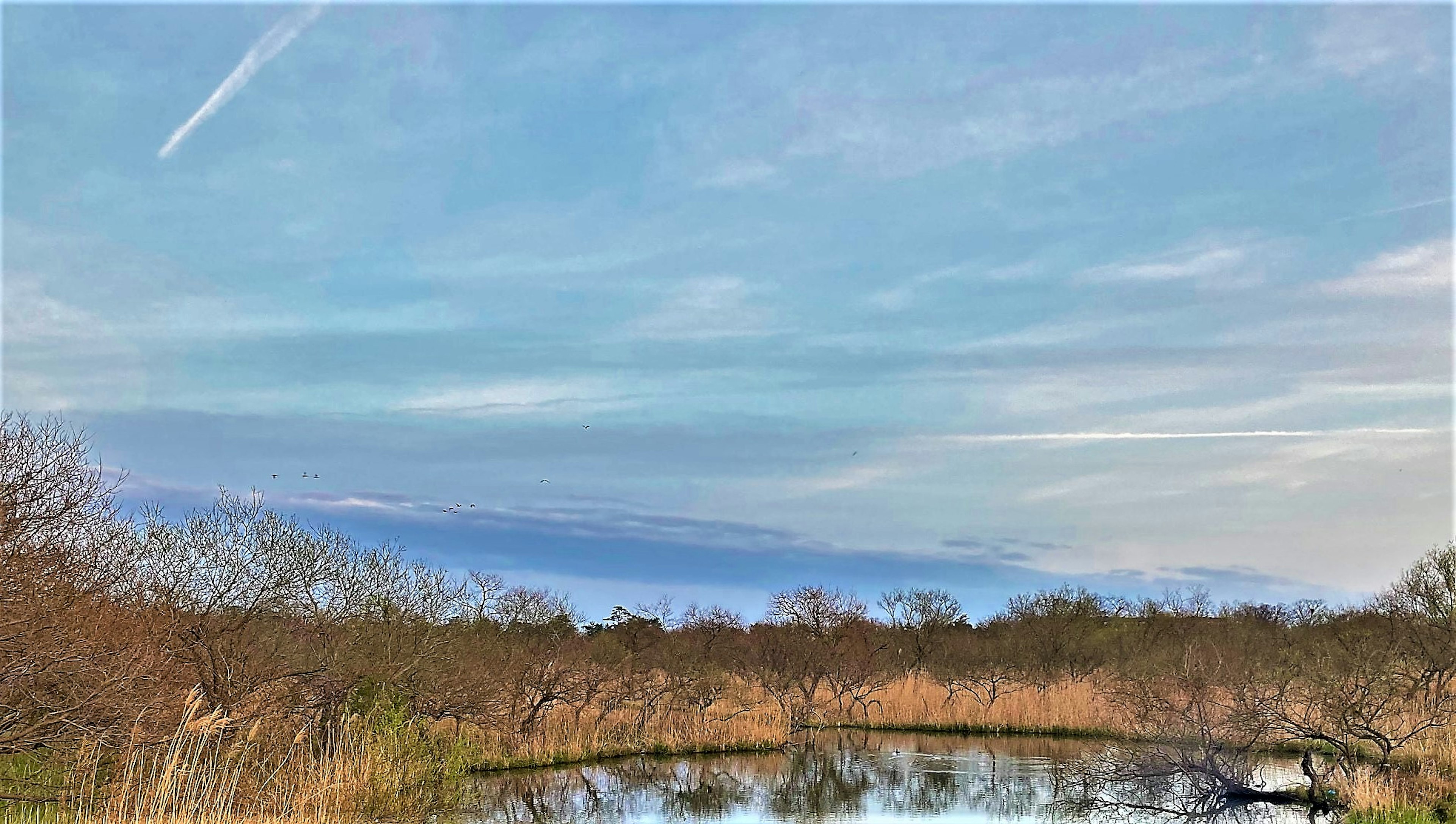 Vue panoramique avec ciel bleu et nuages se reflétant sur l'eau