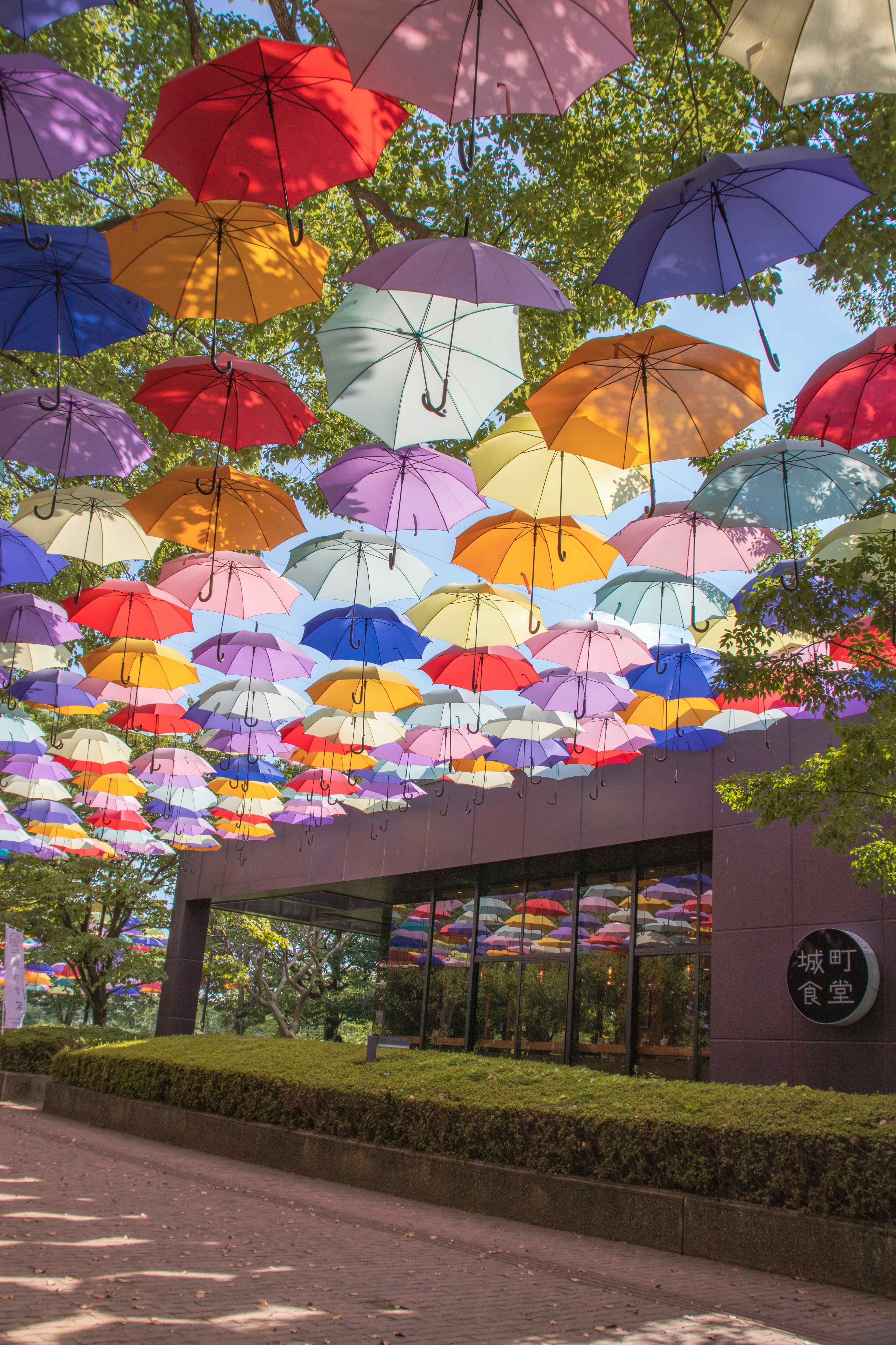 Des parapluies colorés suspendus au-dessus d'un chemin avec des arbres verts