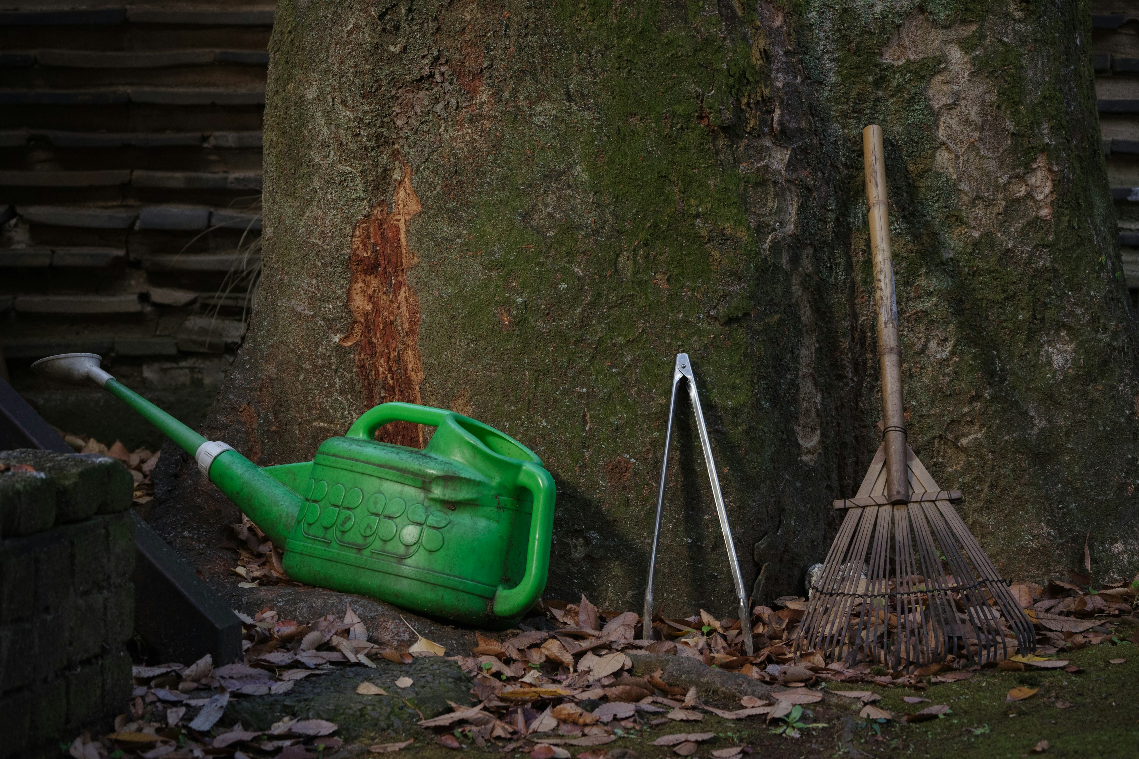 Scene of a green watering can and gardening tools next to a tree