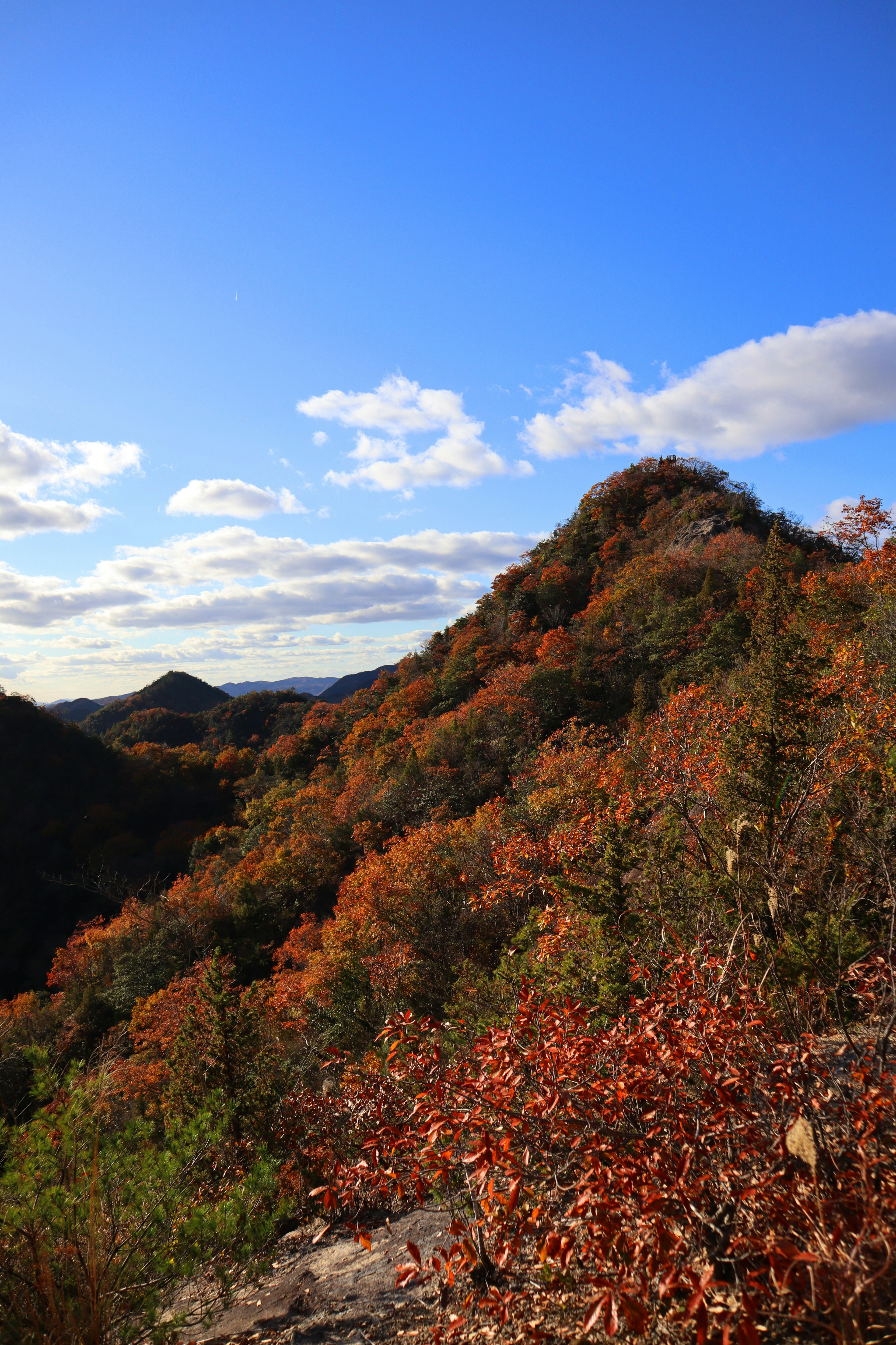 Mountains adorned with autumn colors under a blue sky