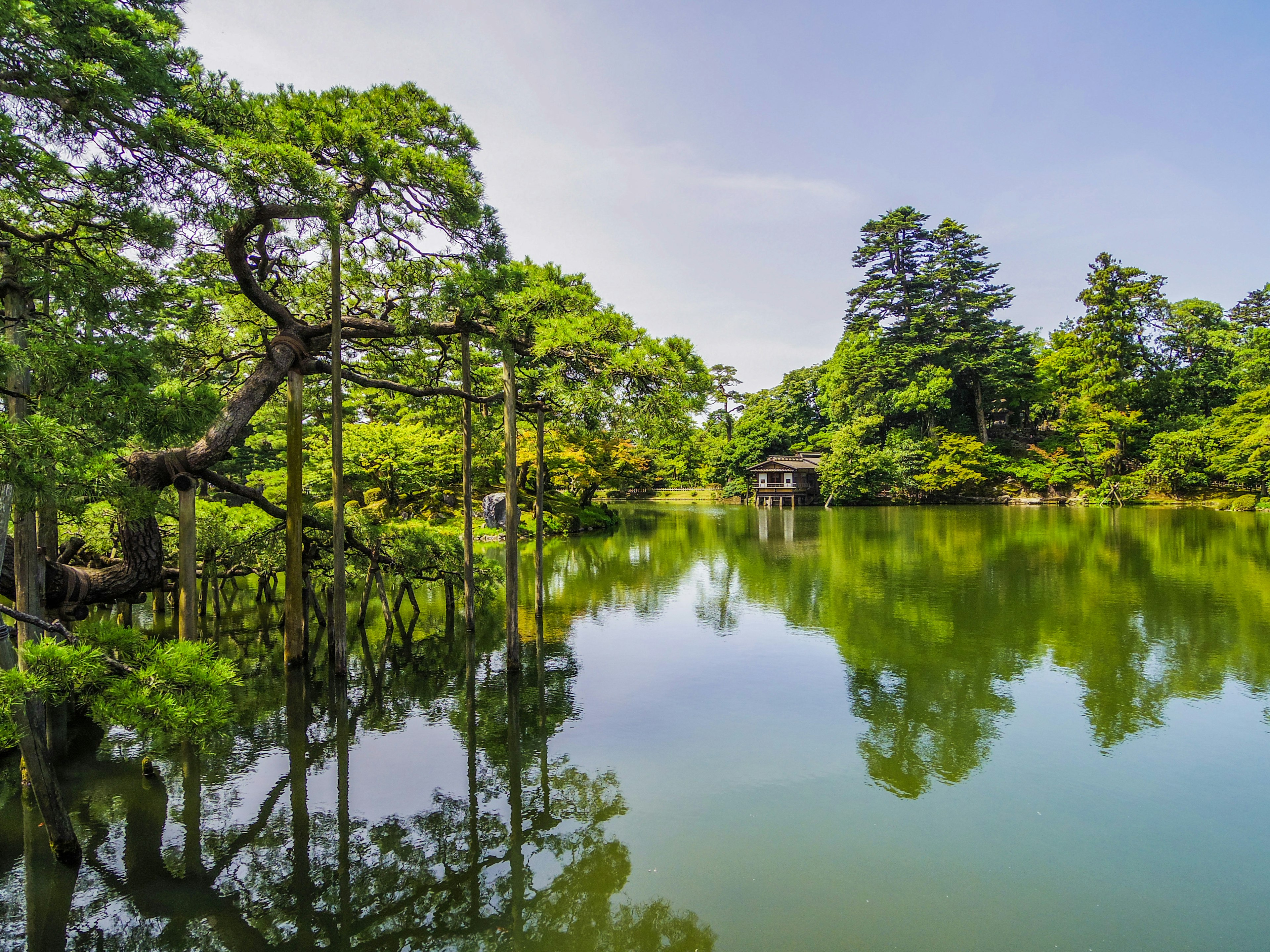 Lago sereno circondato da una vegetazione lussureggiante e alberi