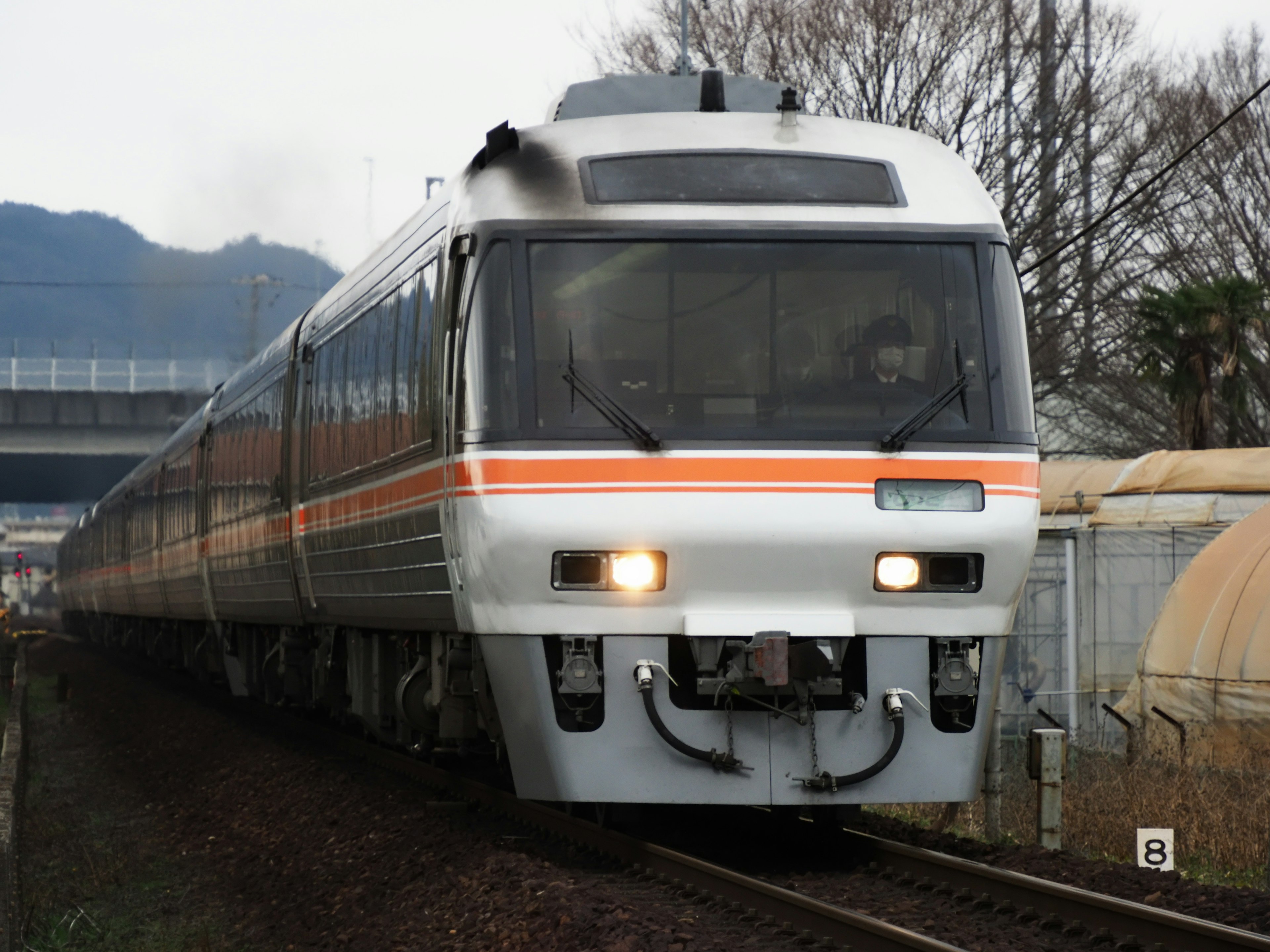 Tren blanco con rayas naranjas pasando por las vías con árboles al fondo