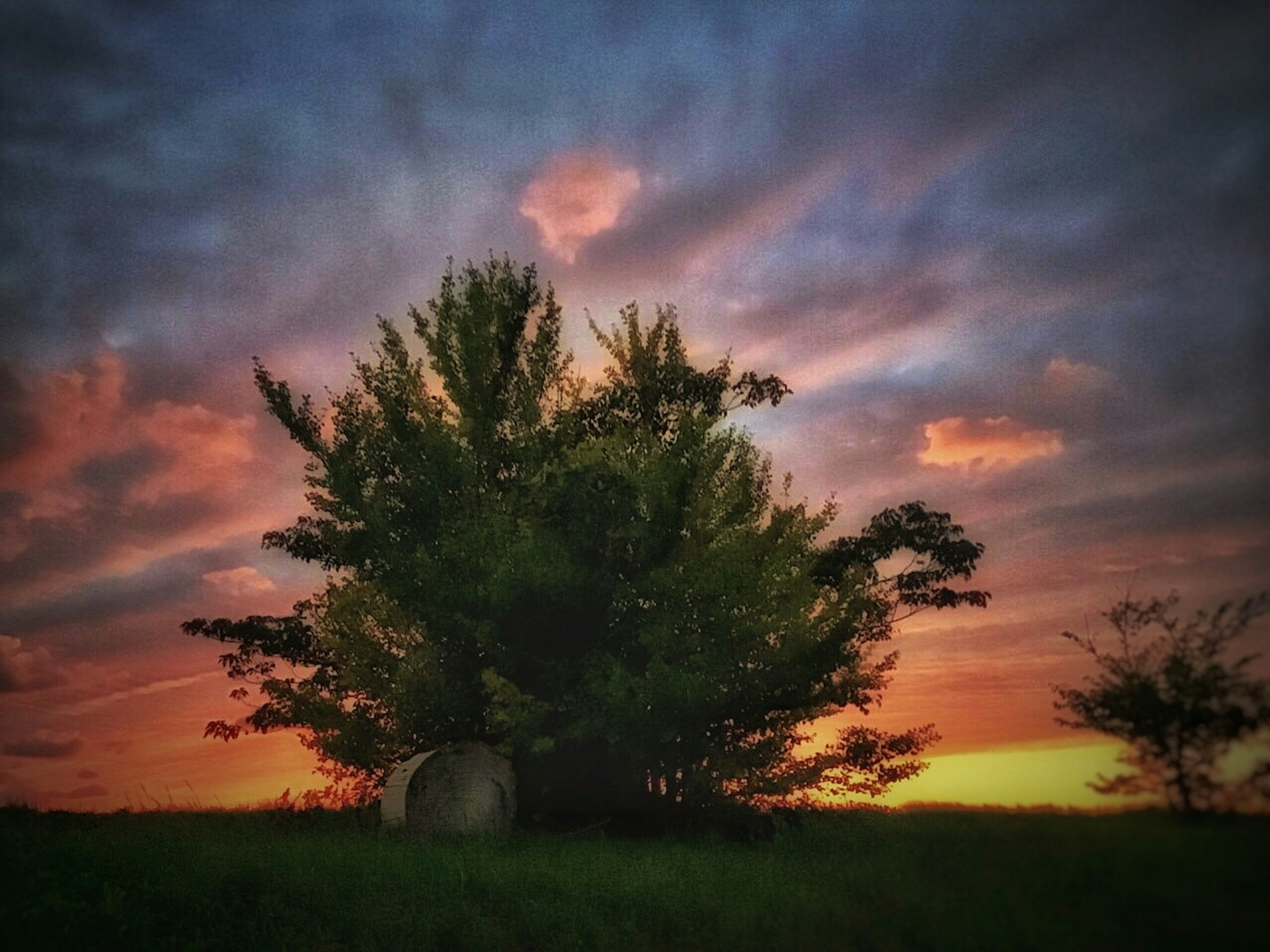 Landscape featuring silhouetted trees against a sunset sky