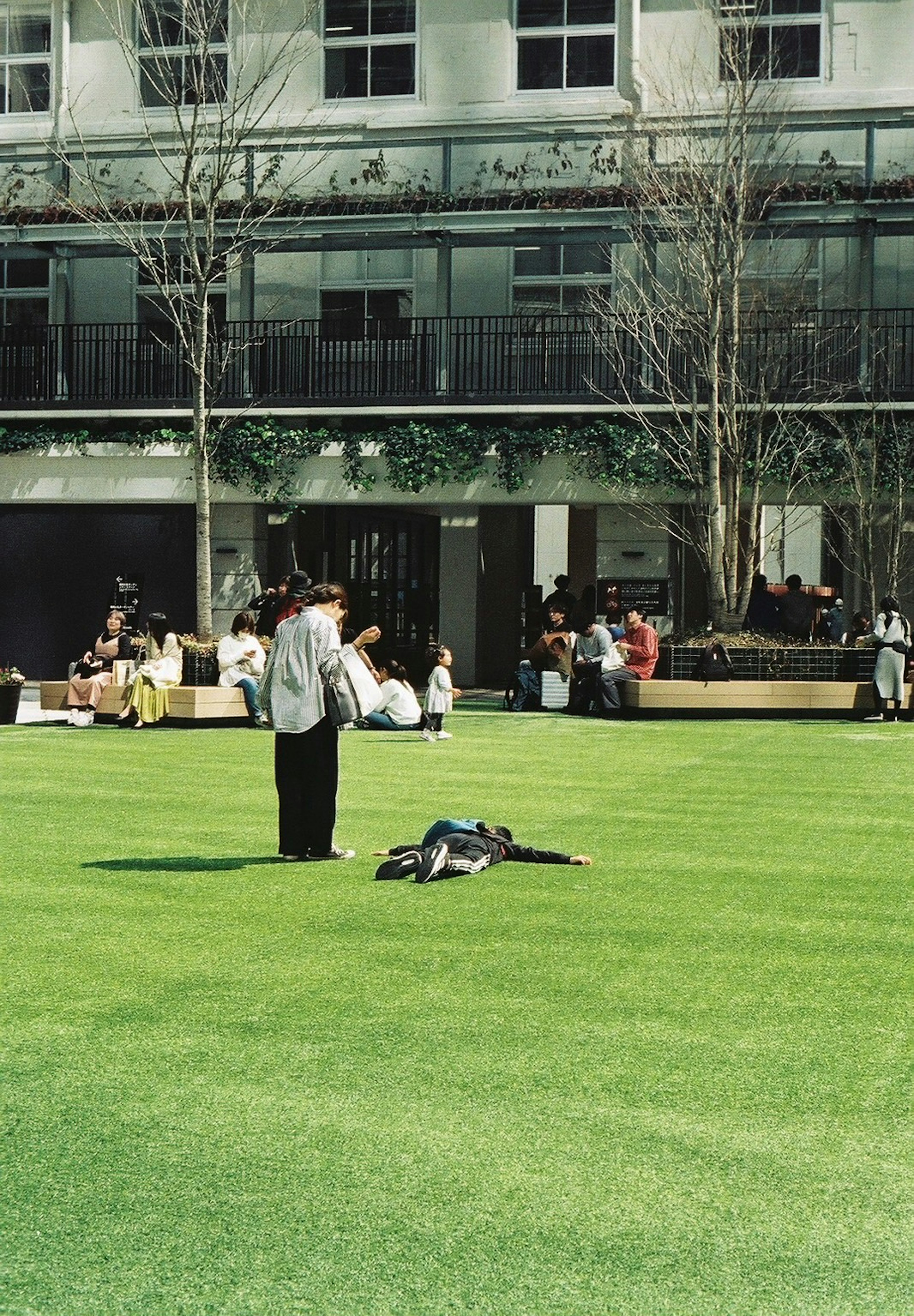 Scene of a person standing on green grass next to another person lying down