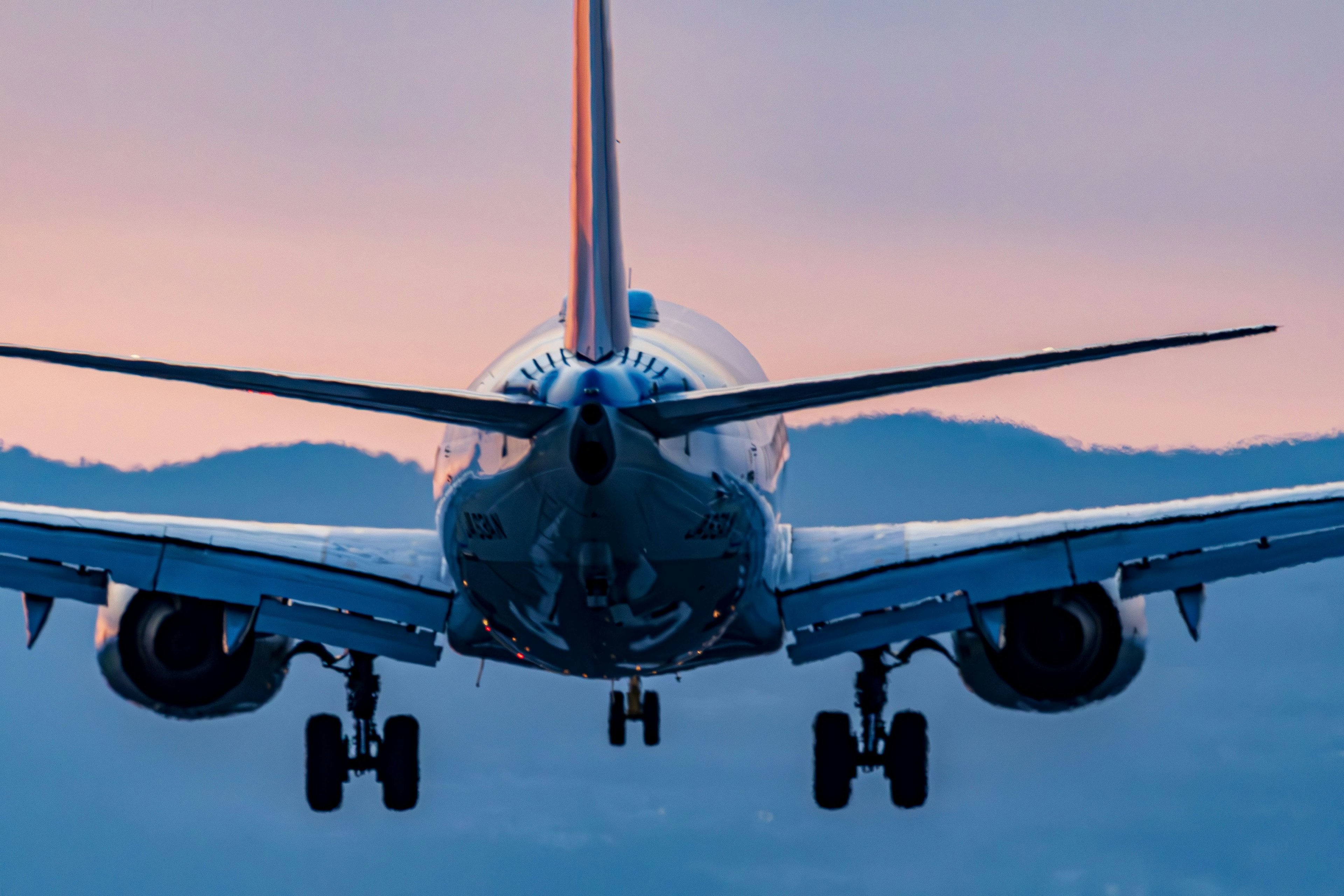 Airplane rear view against a sunset sky