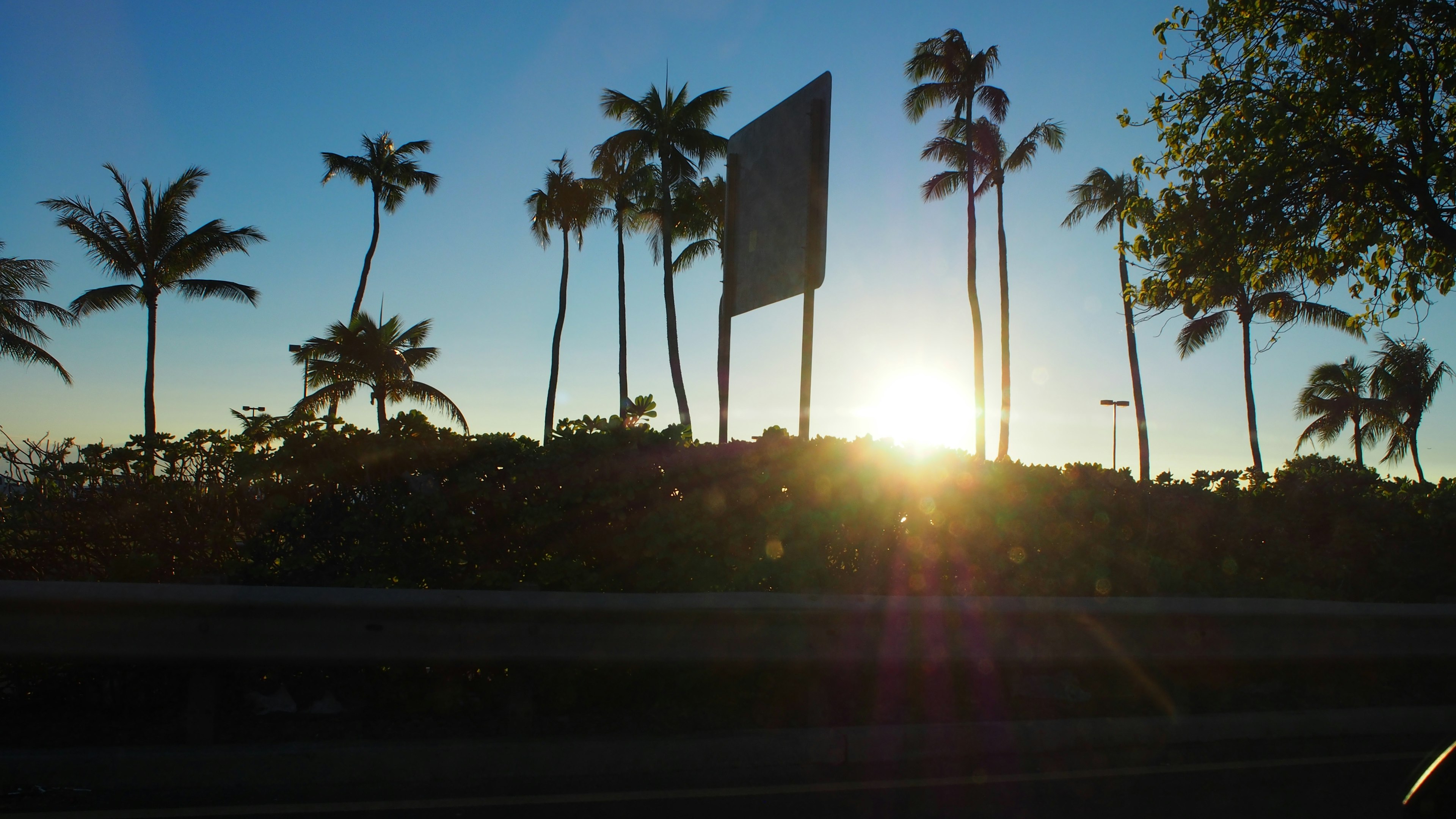 Silhouette di palme contro uno sfondo di tramonto