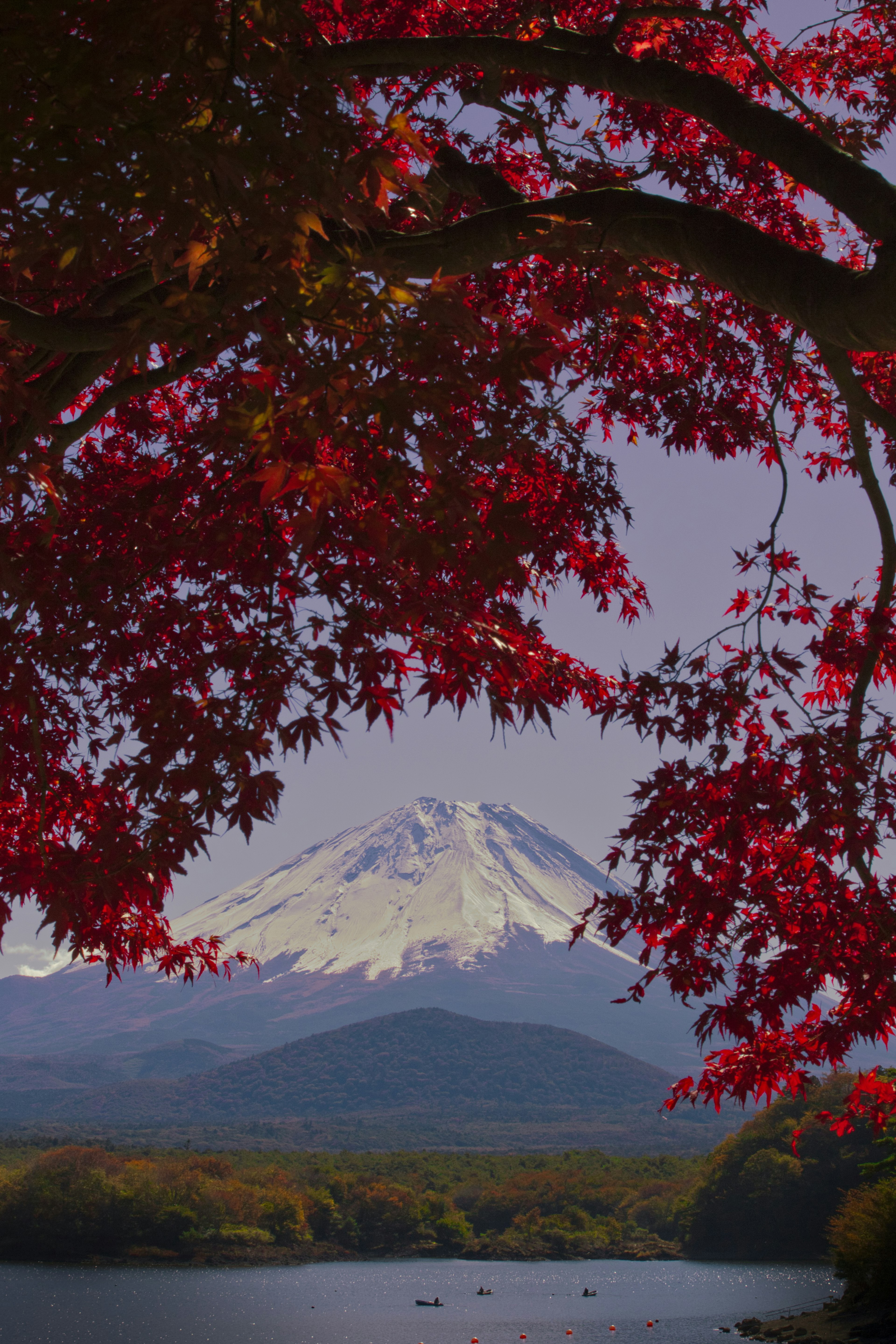 Bella vista del Monte Fuji incorniciata da foglie autunnali