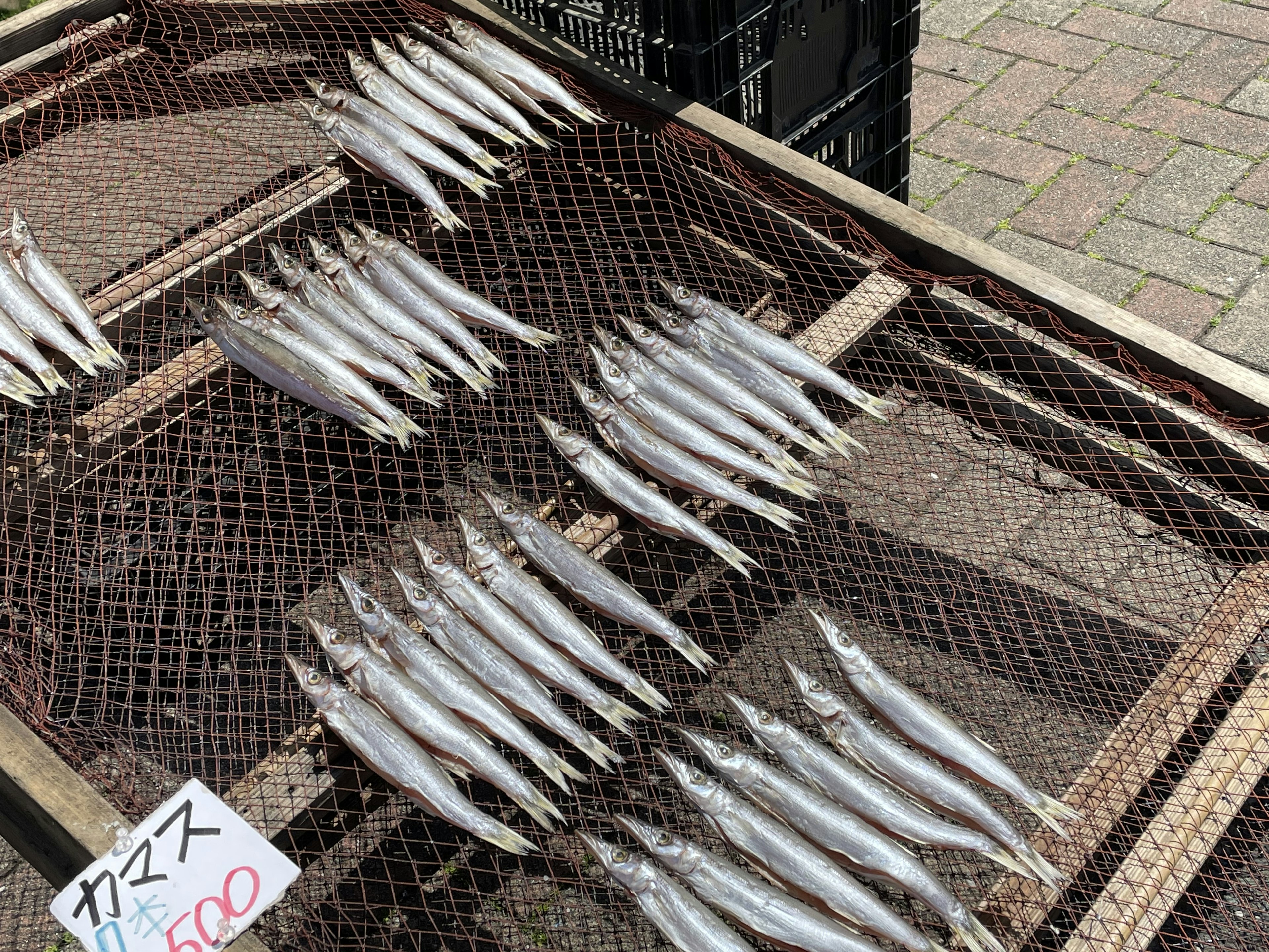 Dried fish displayed at a market