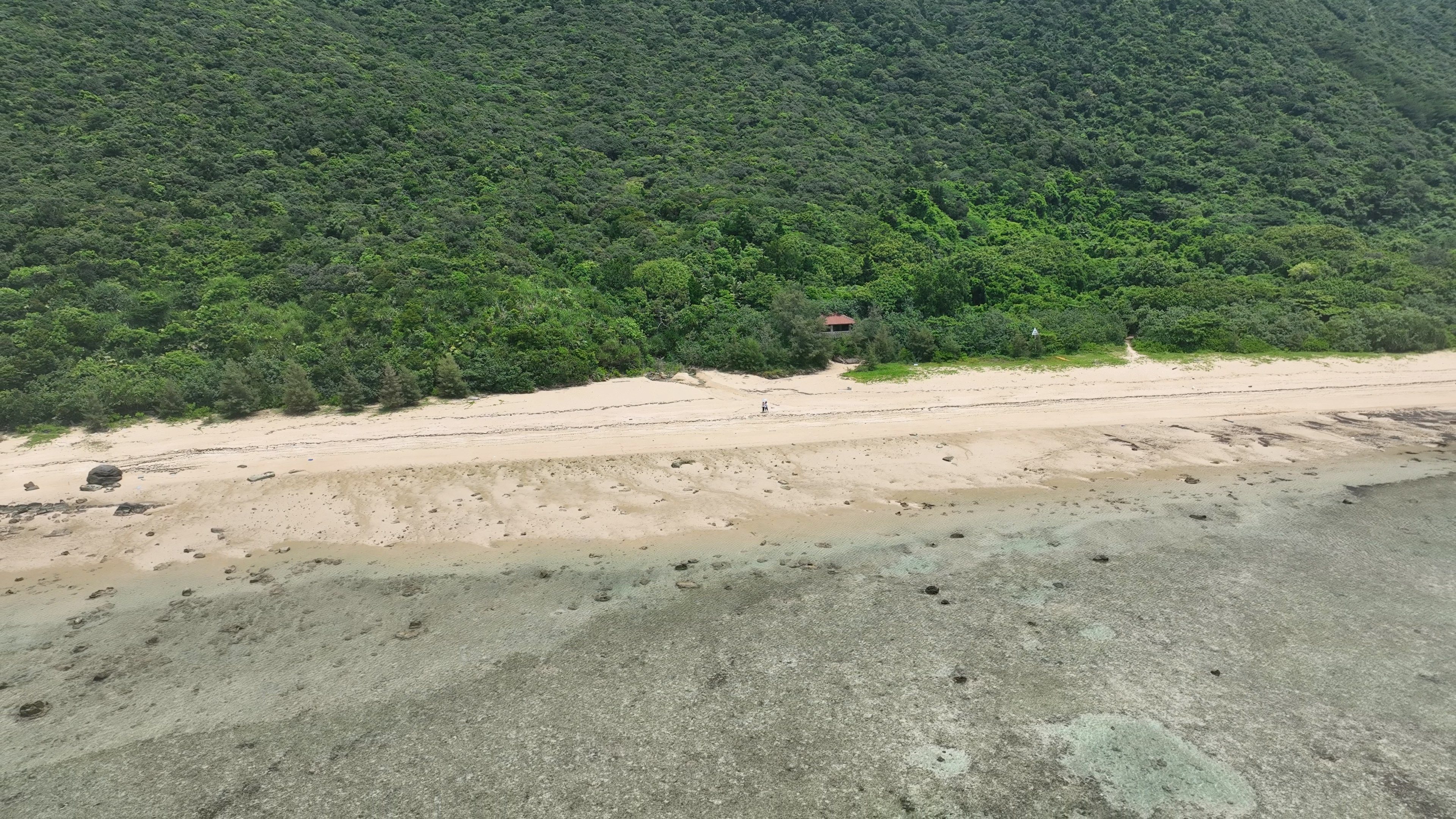 緑豊かな山と白い砂浜が広がる海岸の空撮