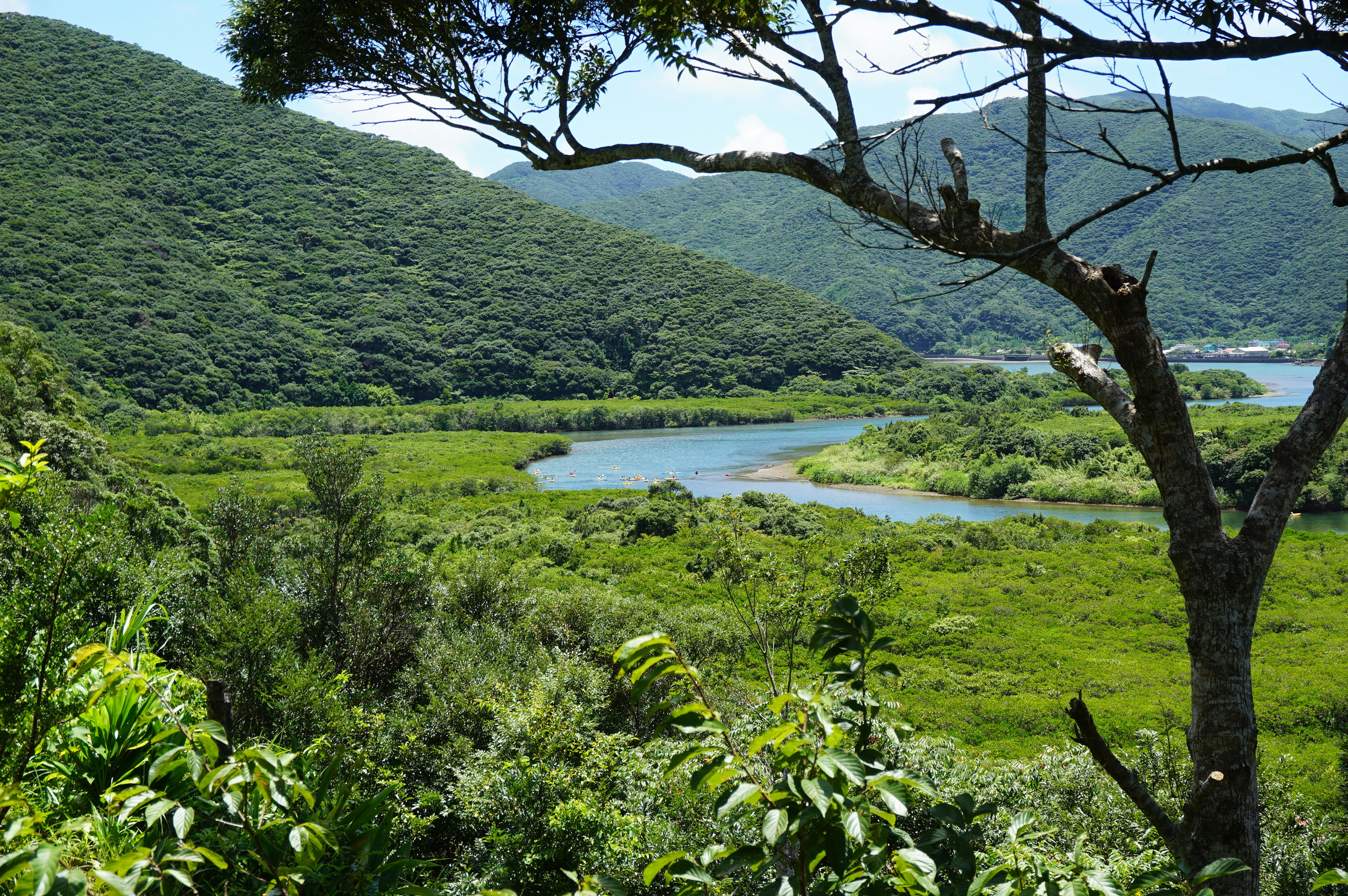 Paesaggio di colline verdeggianti e un fiume