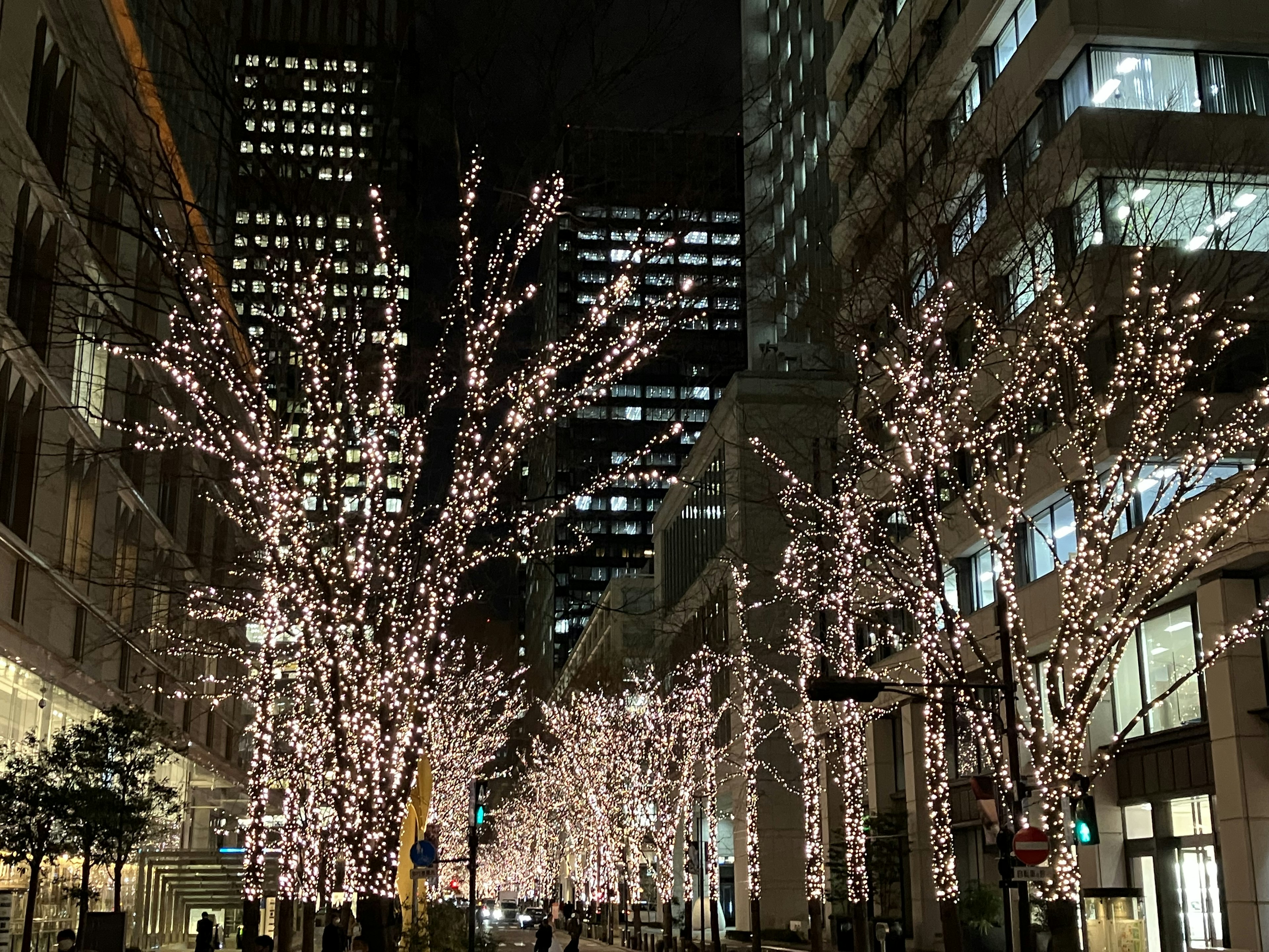 Illuminated trees lining a city street at night