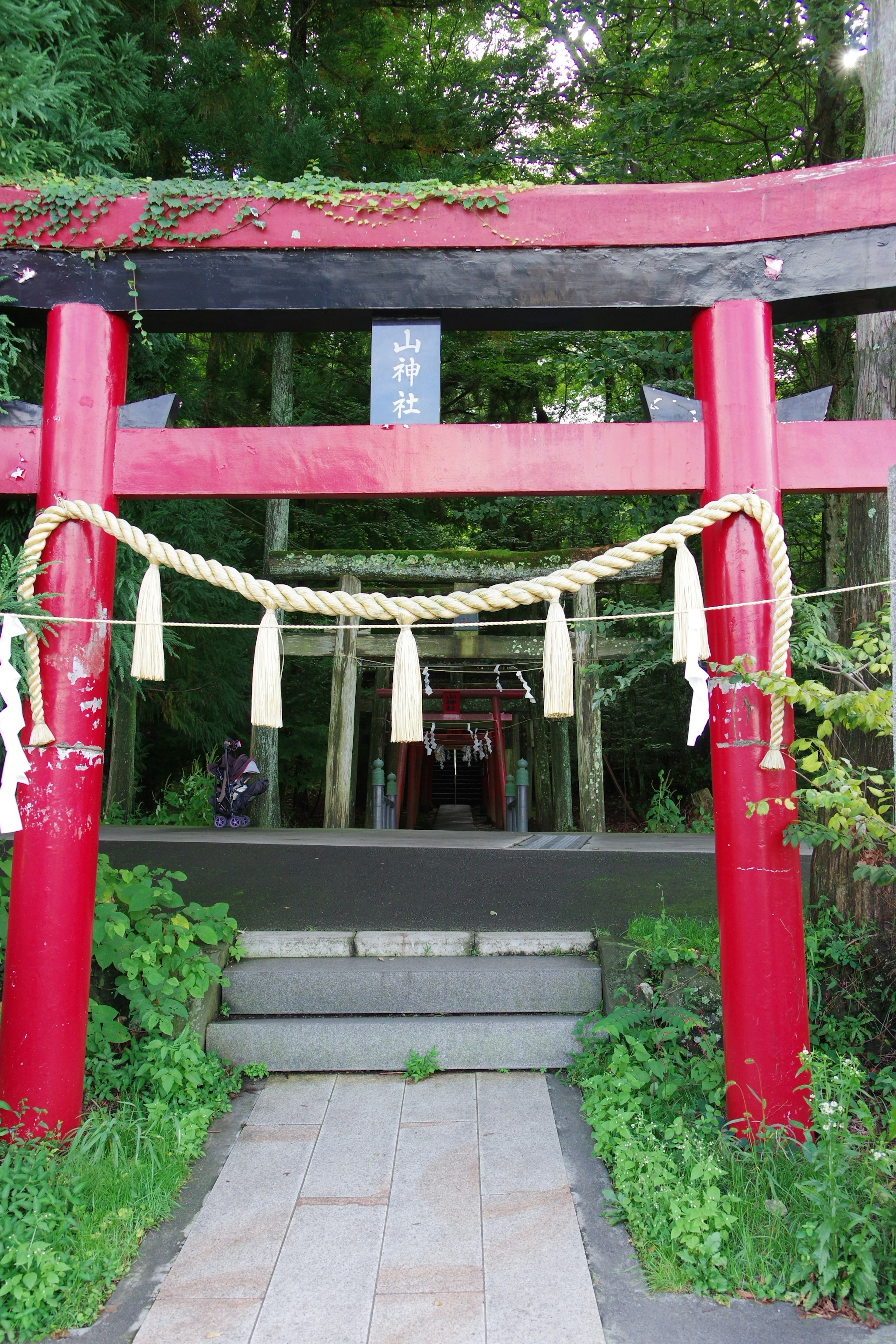 红色鸟居的神社入口被郁郁葱葱的绿树环绕