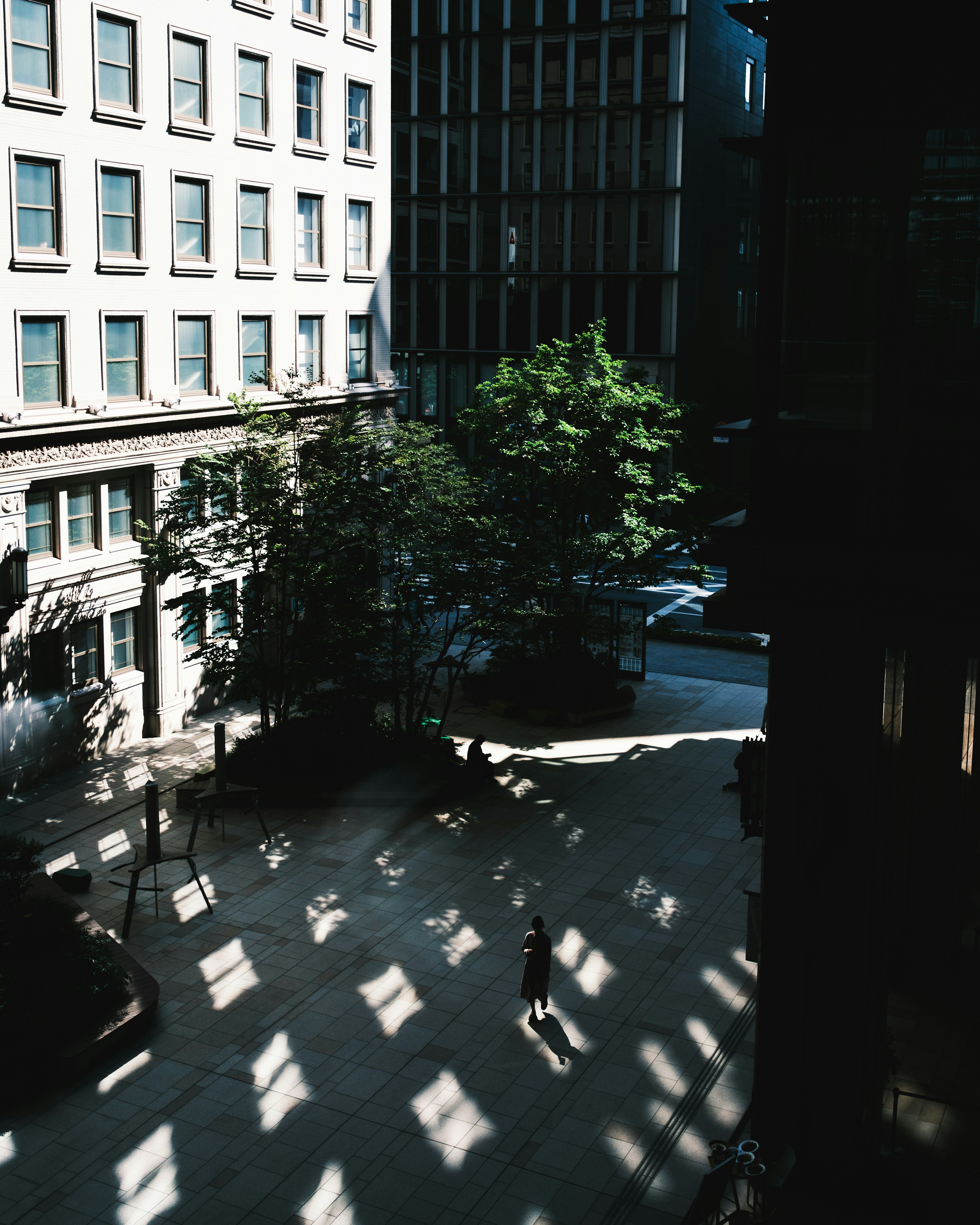 Photo capturant un arbre et une silhouette de personne dans une cour urbaine