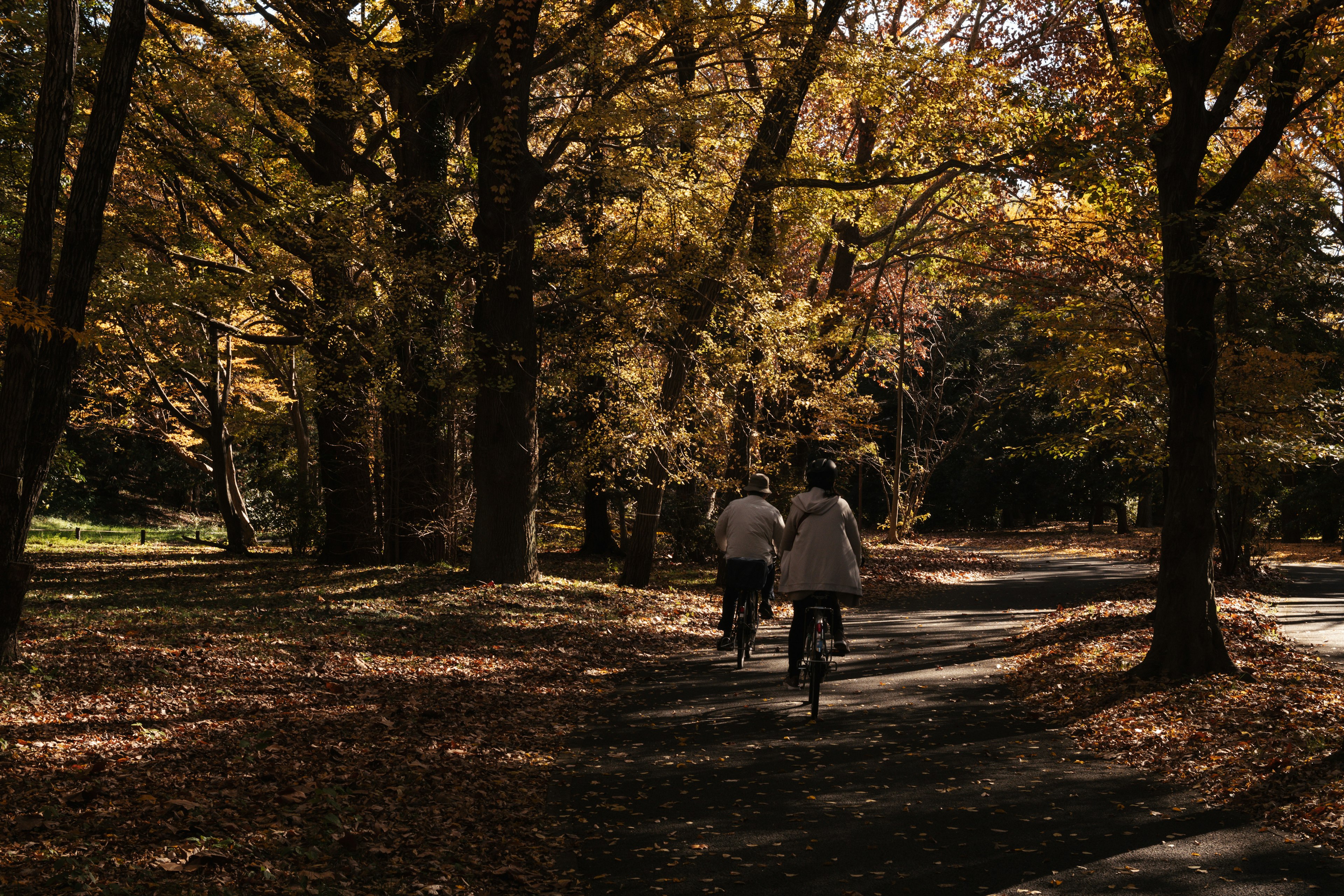 Deux personnes marchant dans un parc d'automne avec des feuilles tombées