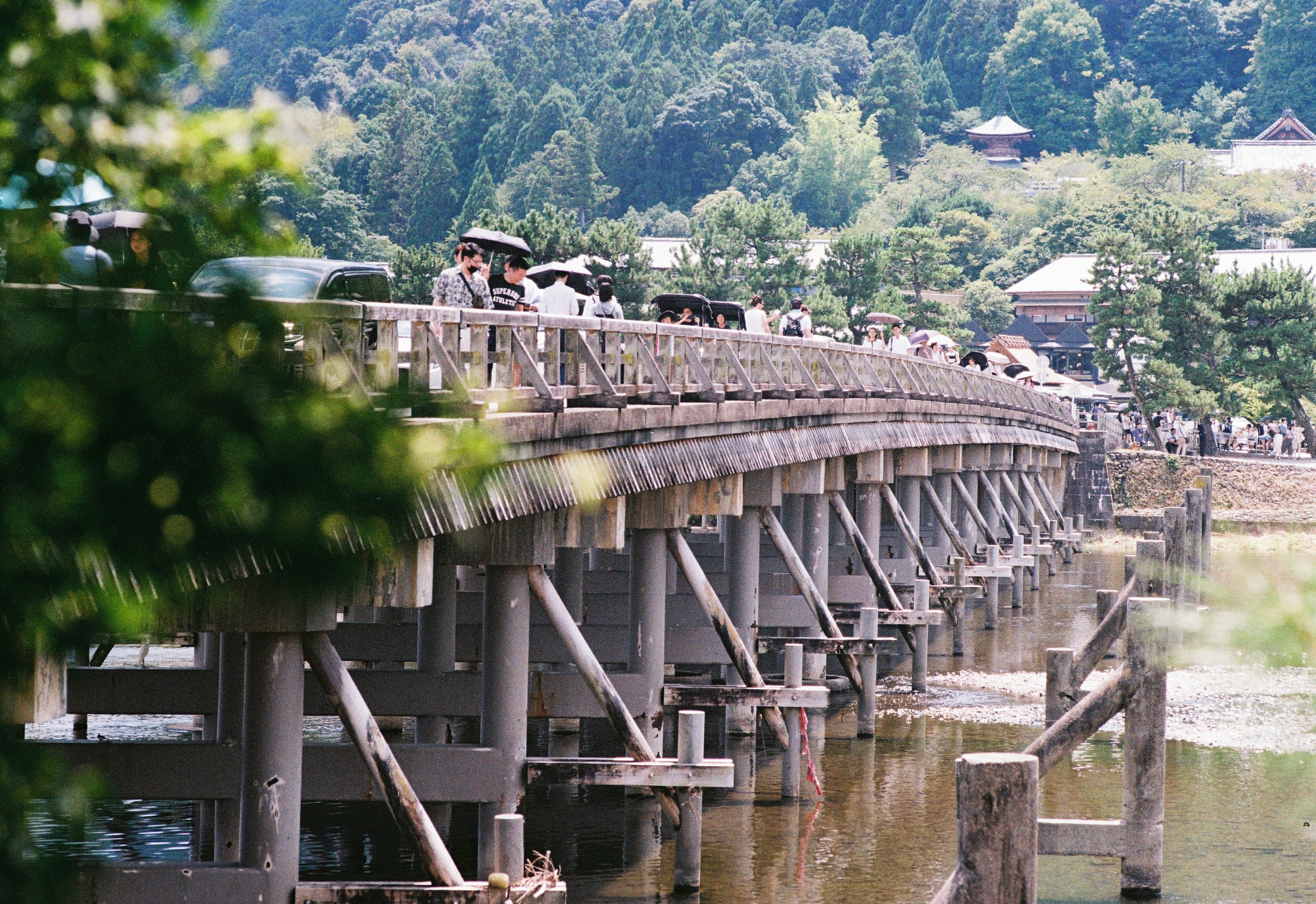 Pont en bois traversant un plan d'eau entouré de verdure luxuriante