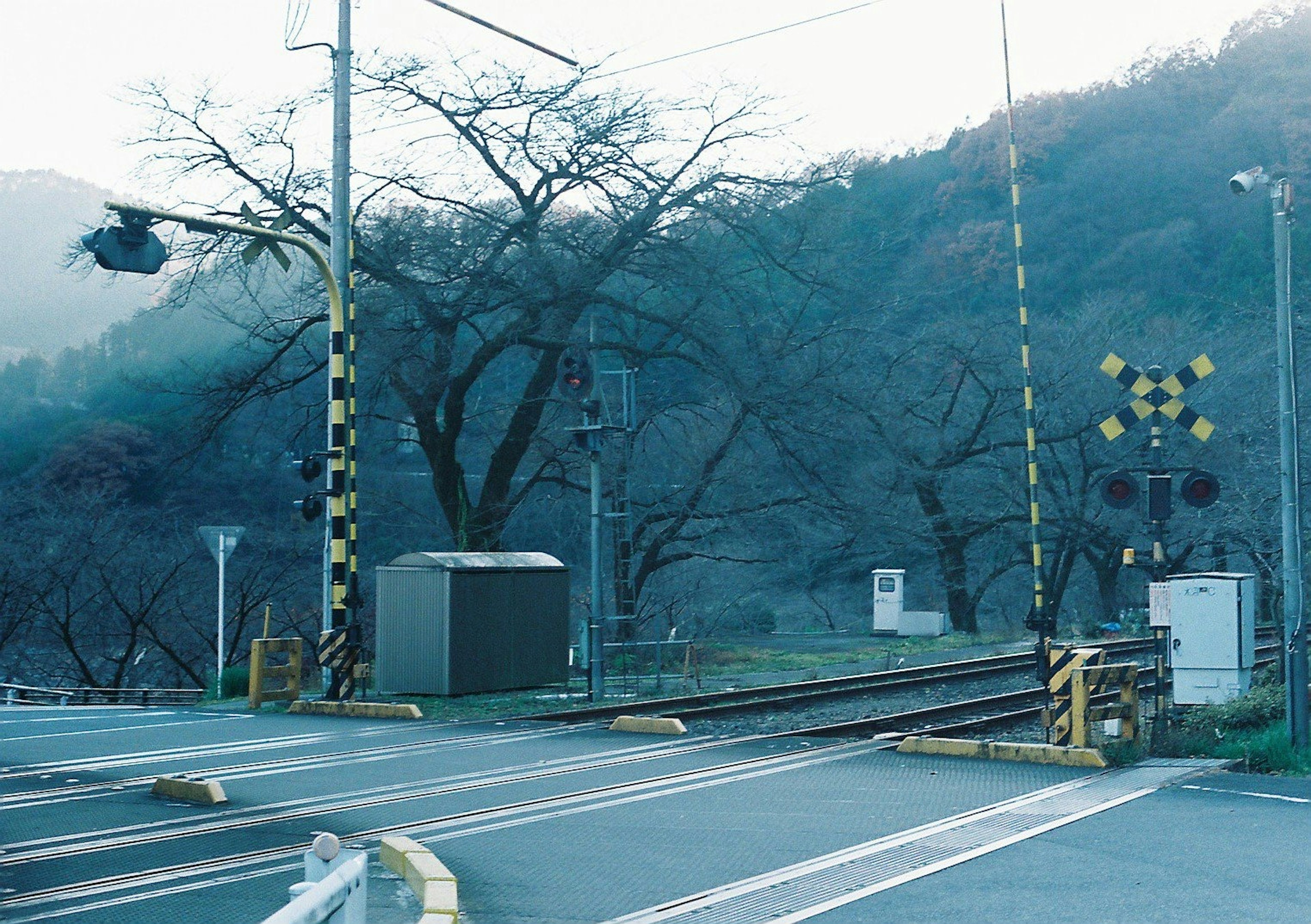 山の近くの鉄道踏切と信号機がある風景