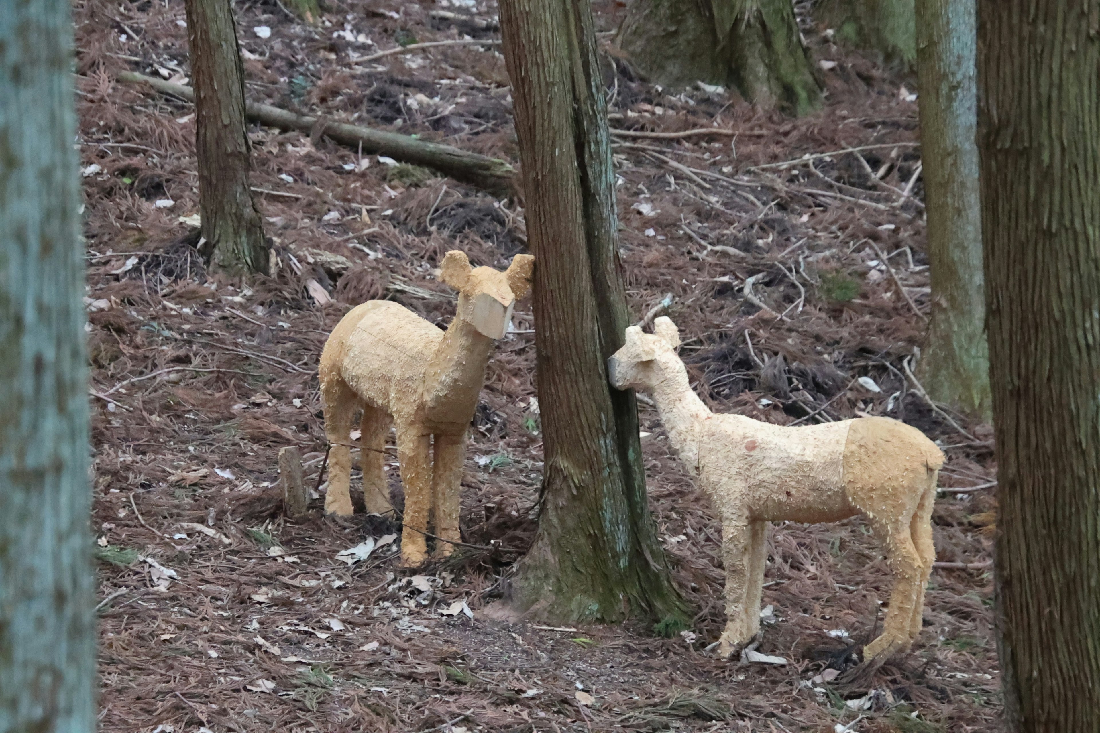 森の中の木の近くに立つ二匹の動物の彫刻