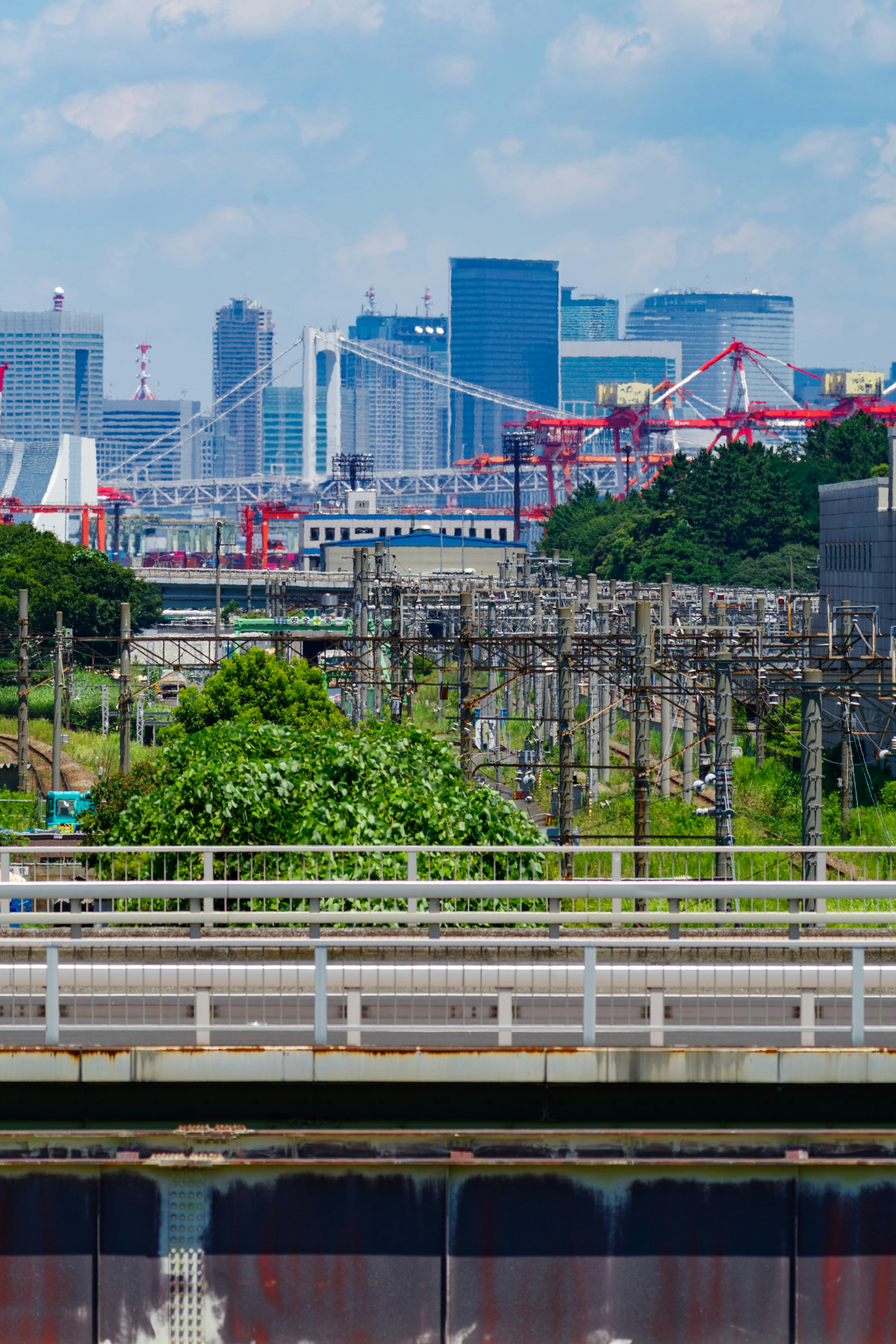 都市の景色に広がる鉄道と橋の風景 緑豊かな植物と近代的なビルのコントラスト