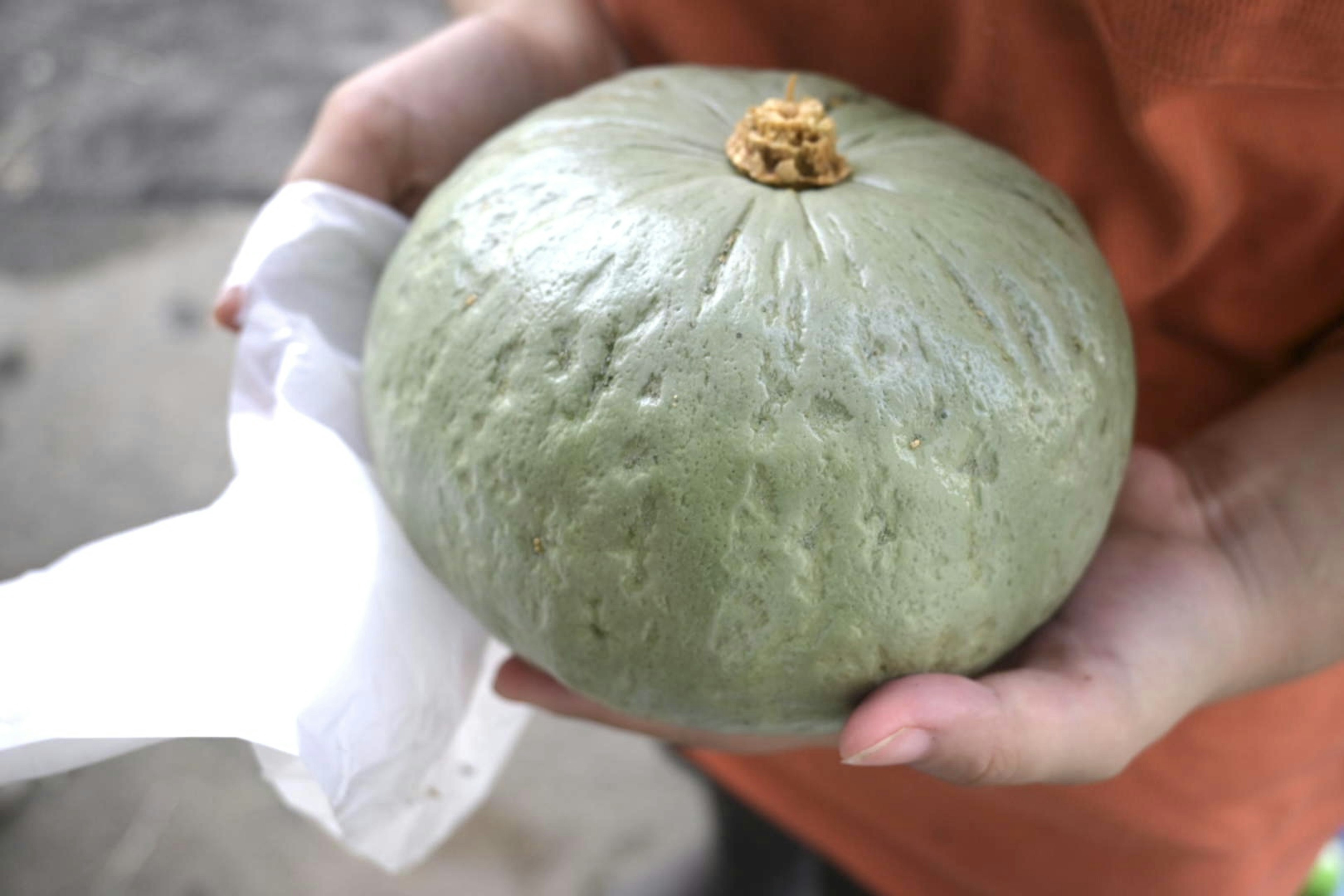 A person holding a round greenish fruit resembling a pumpkin