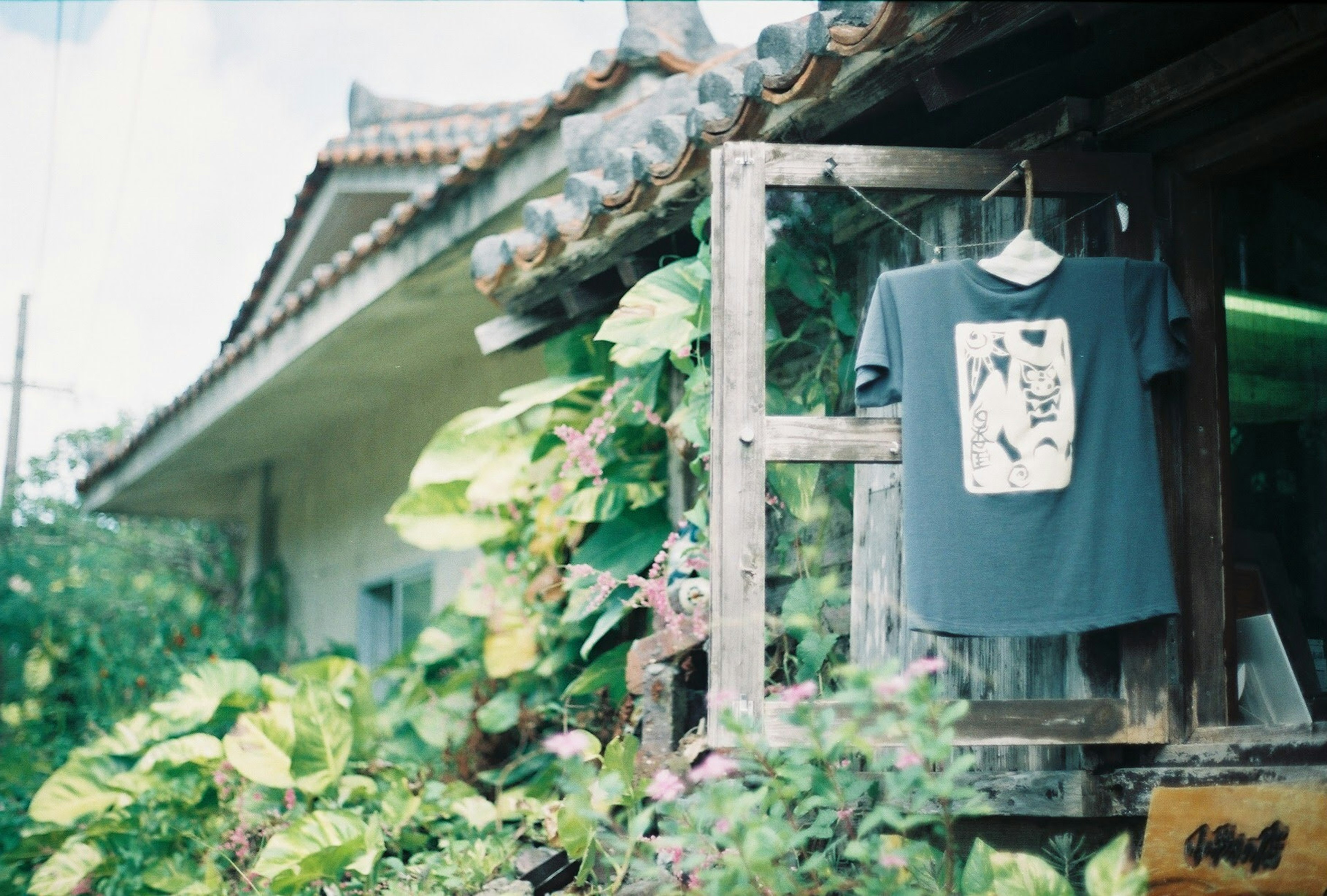 緑の植物で囲まれた窓の外にかけられたグレーのTシャツとそのデザイン