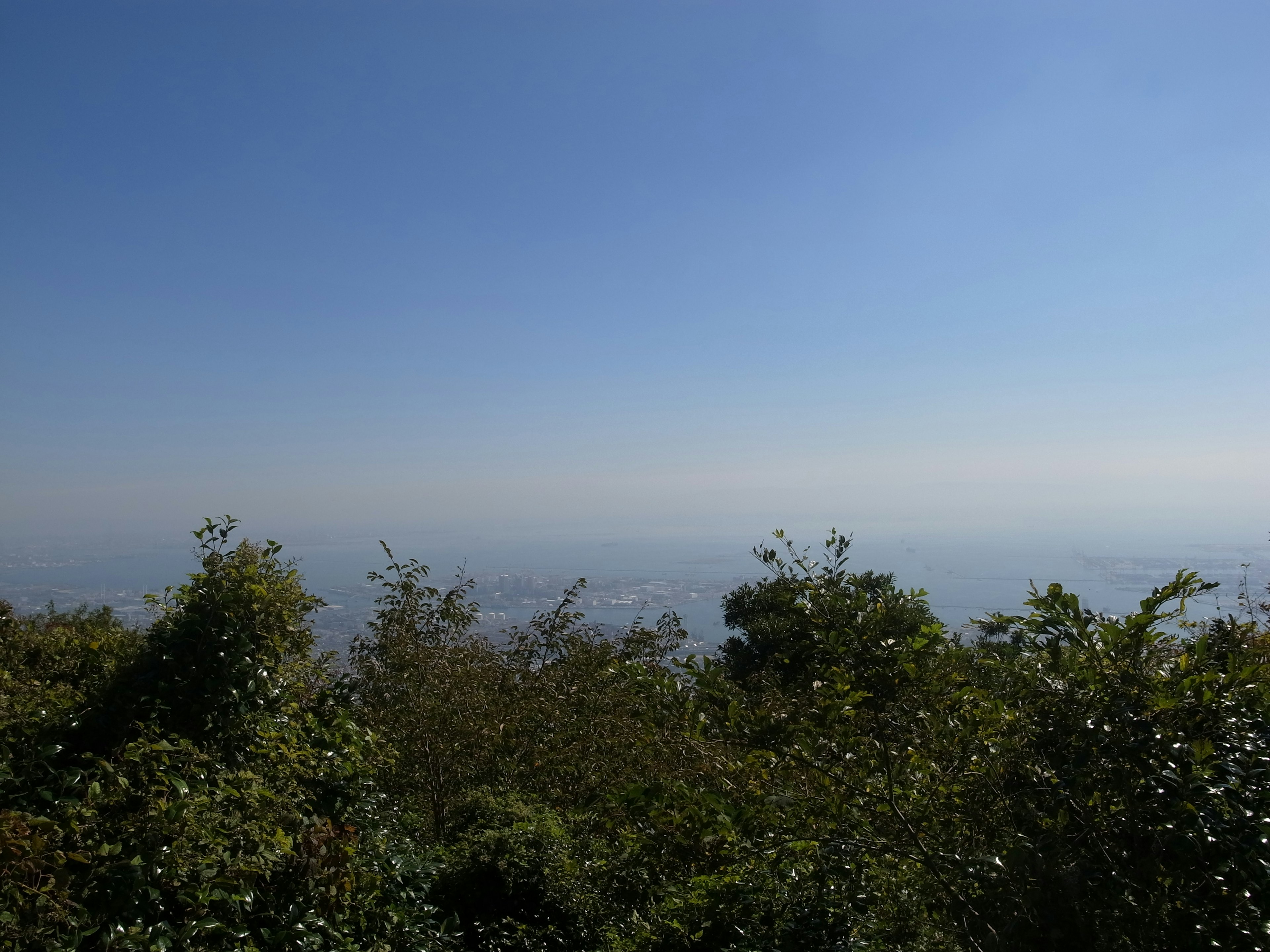 Pemandangan pegunungan dengan langit biru dan dedaunan hijau