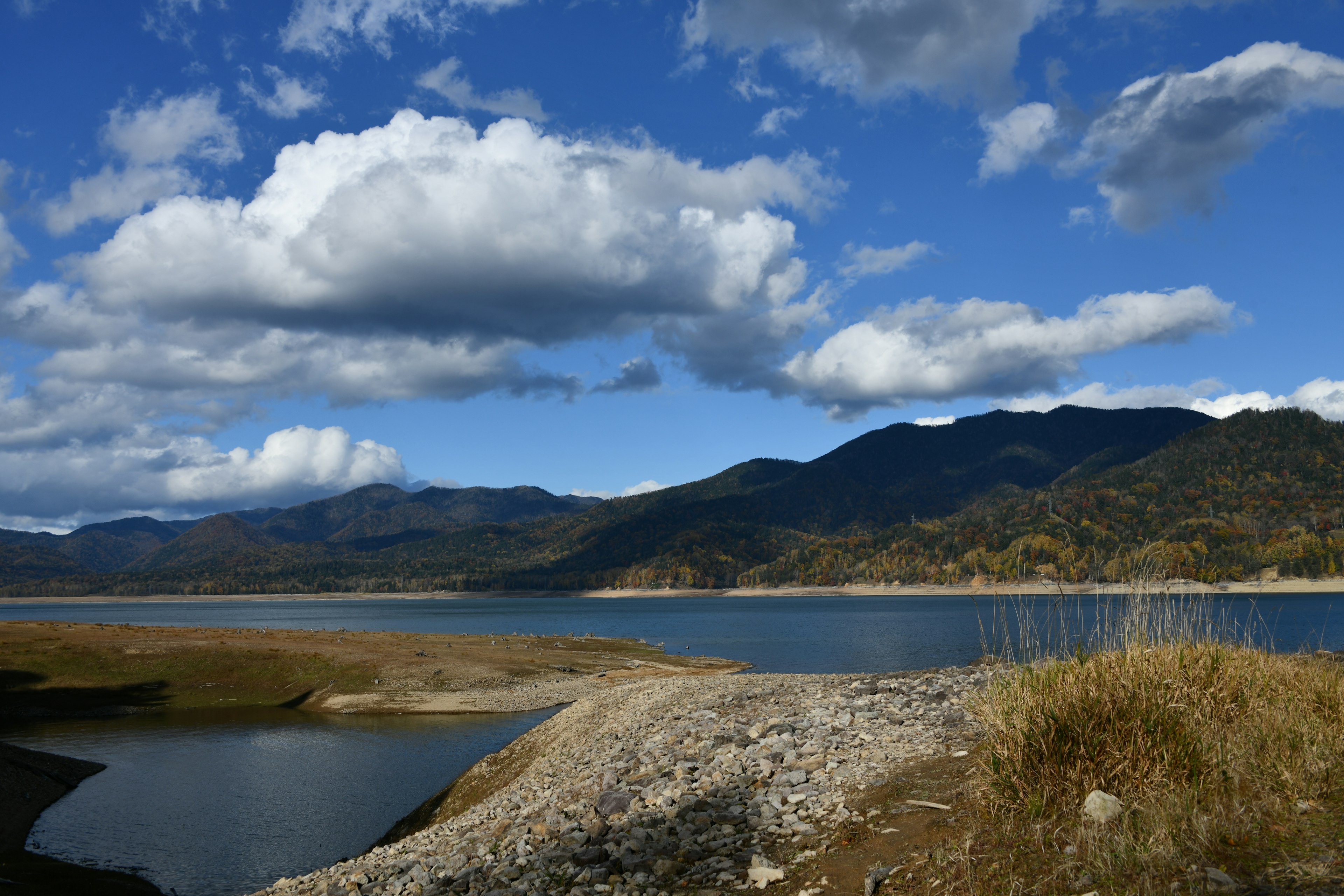 Scenic view of a lake with blue sky and fluffy white clouds mountains and grassy shore