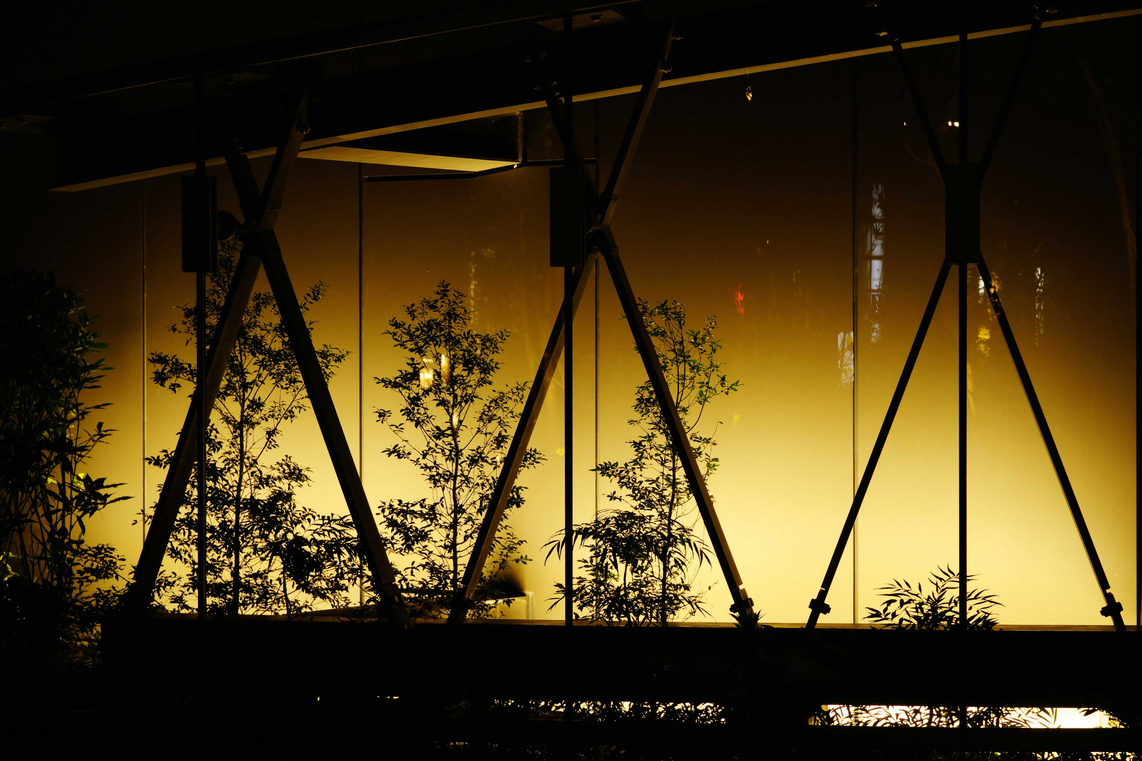 Escena nocturna con plantas y reflejos de vidrio