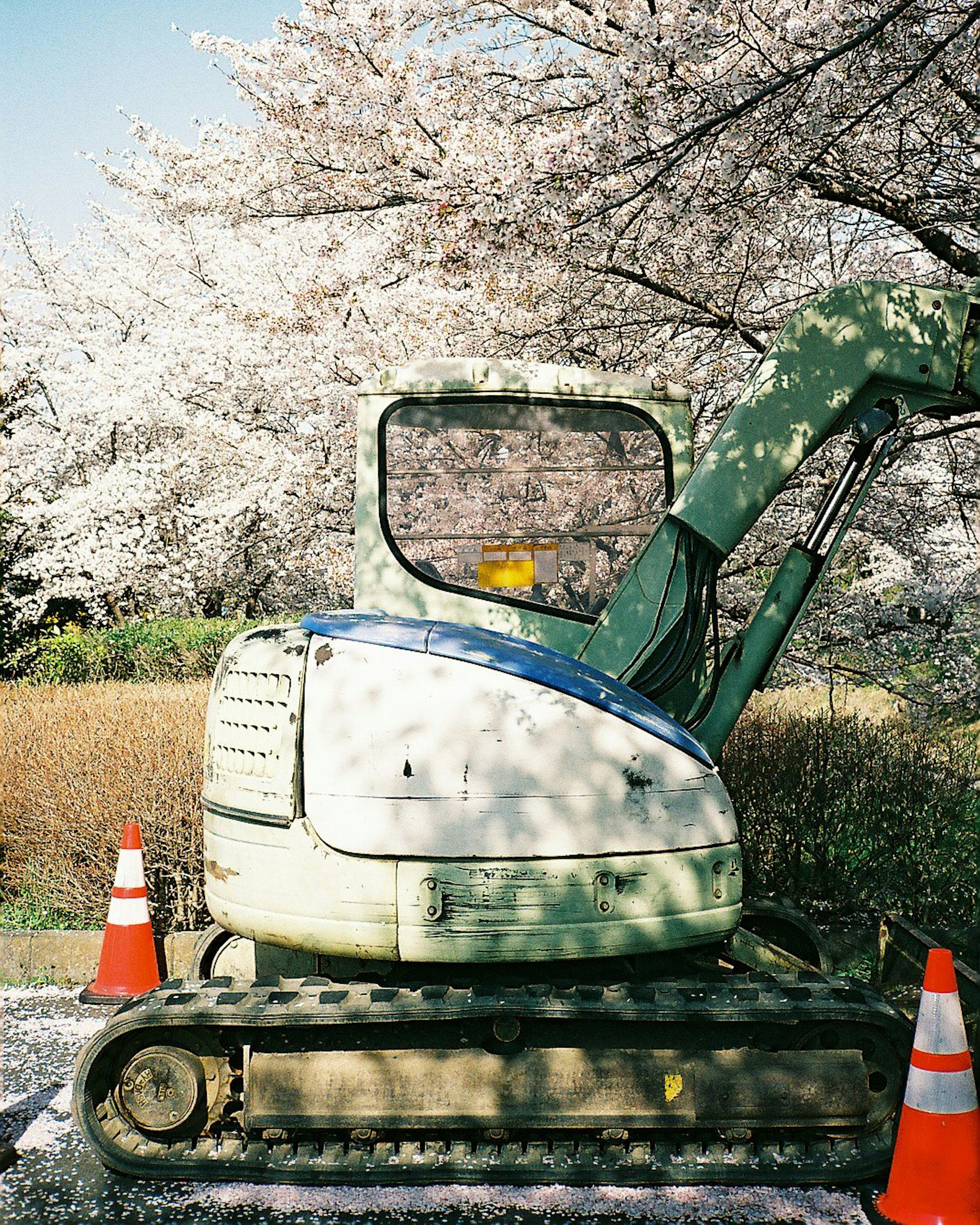 桜の木の下にある緑色の重機とオレンジのコーン