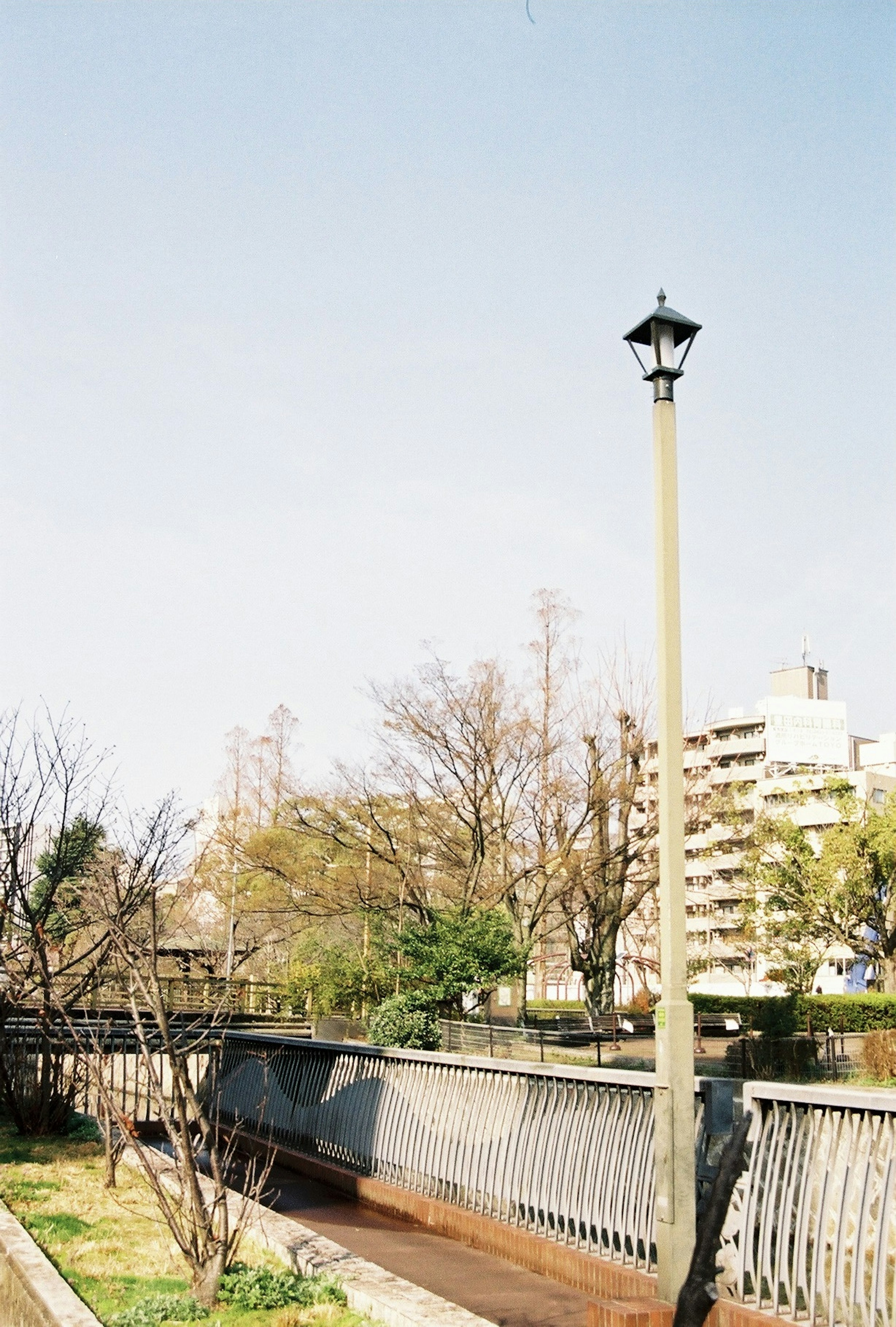 Park bridge scene with a lamppost