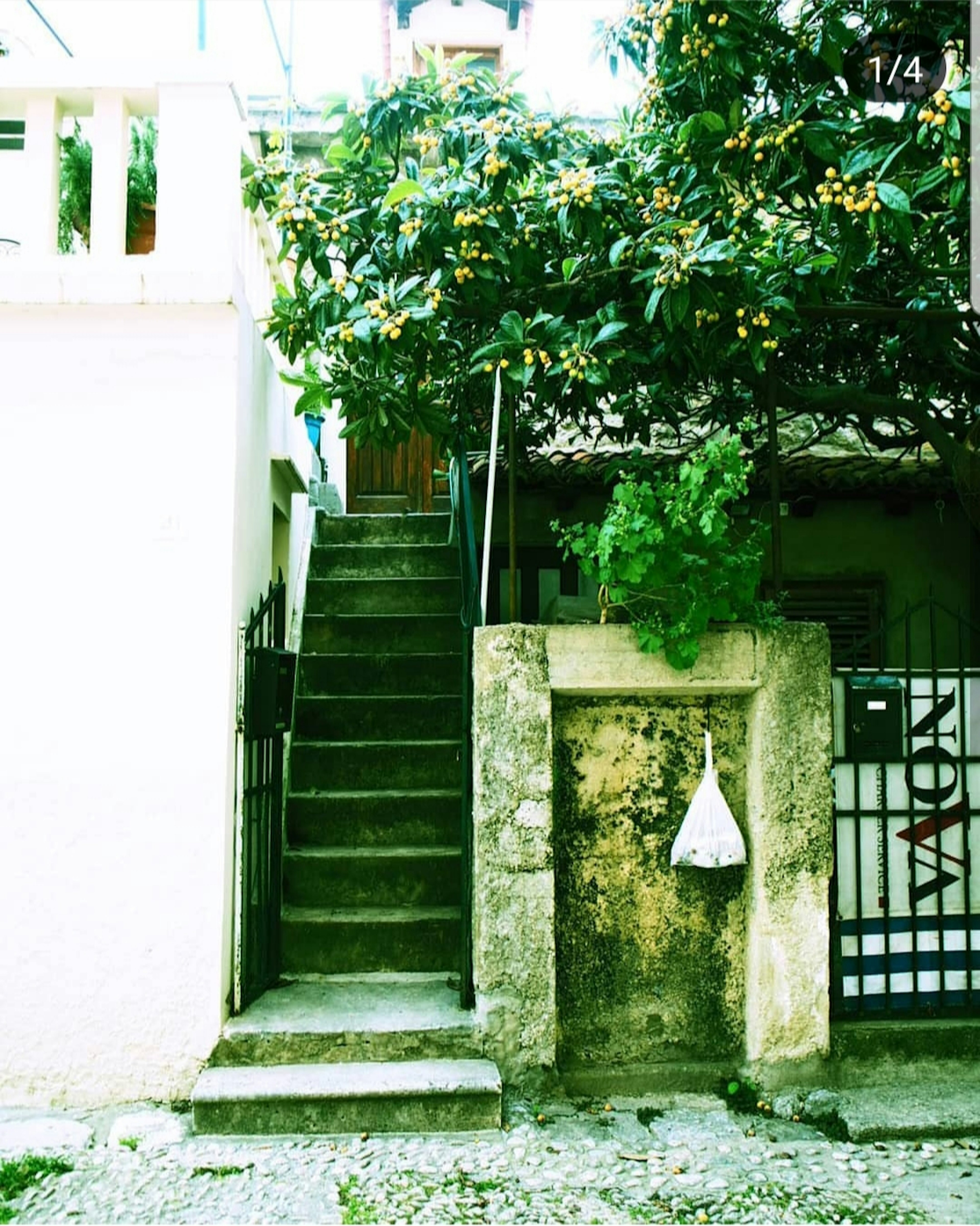 Scène de rue résidentielle avec escaliers arbre vert et sac blanc suspendu