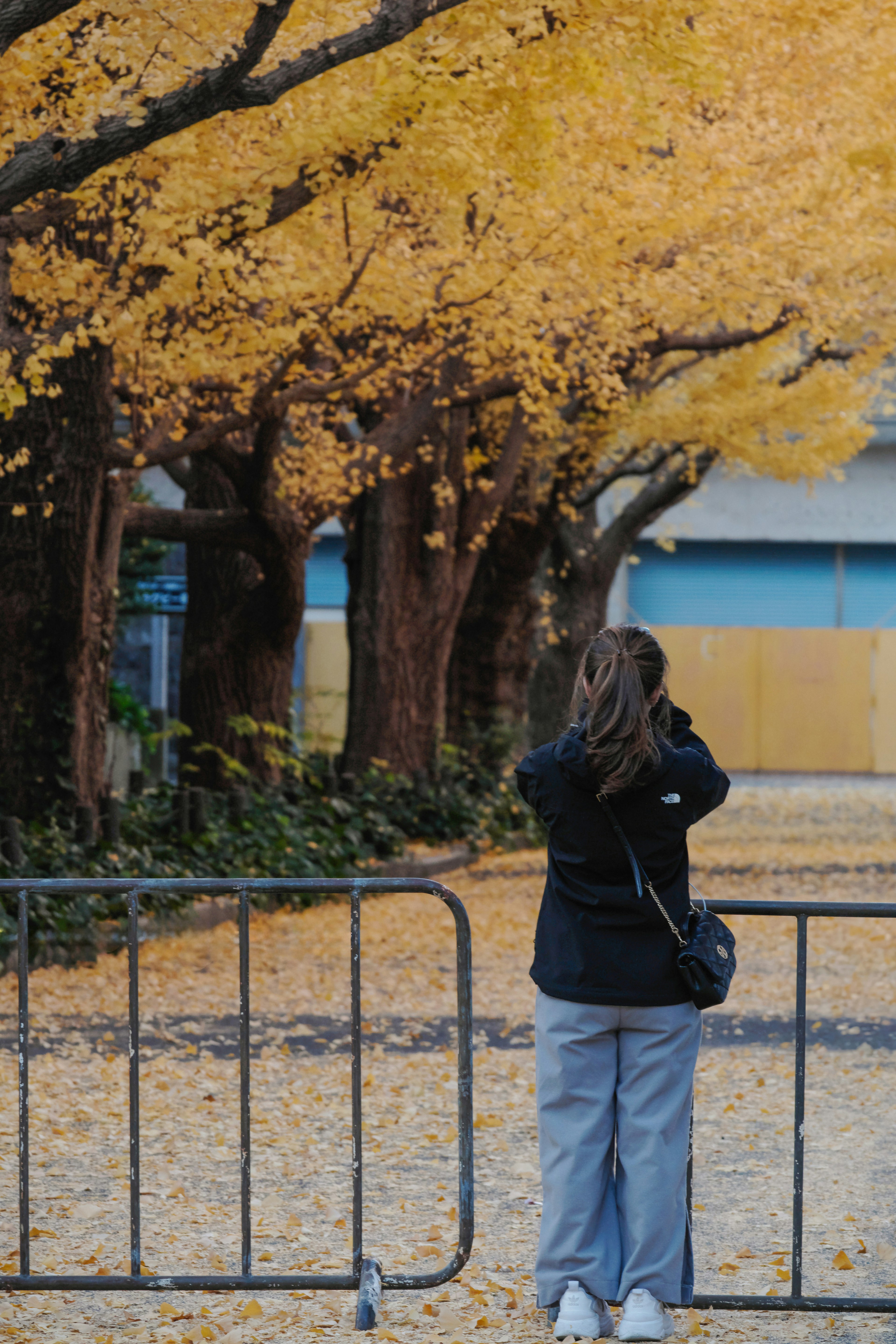 Woman taking a photo in front of trees with yellow leaves