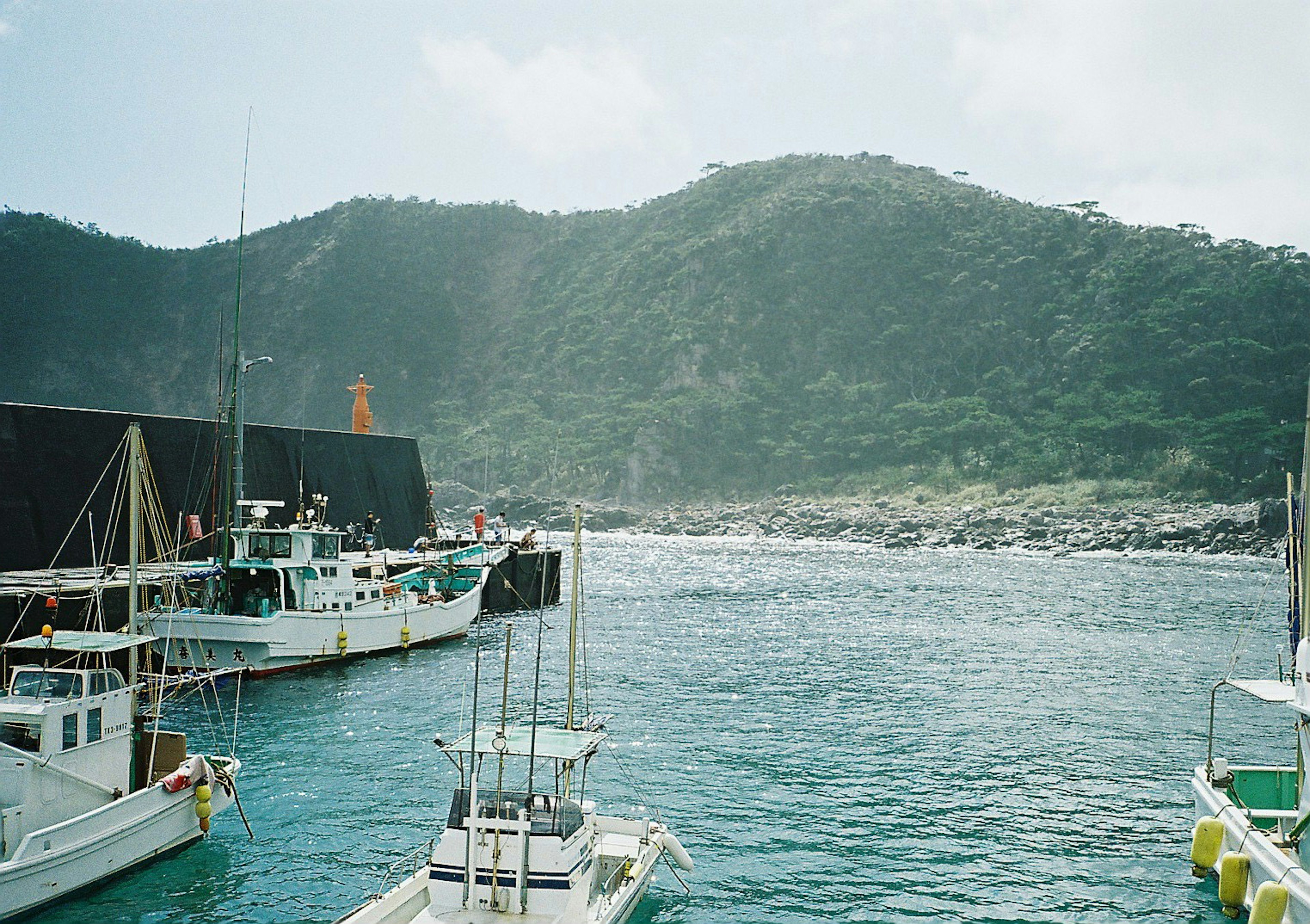 Fishing boats docked at a harbor with green hills in the background