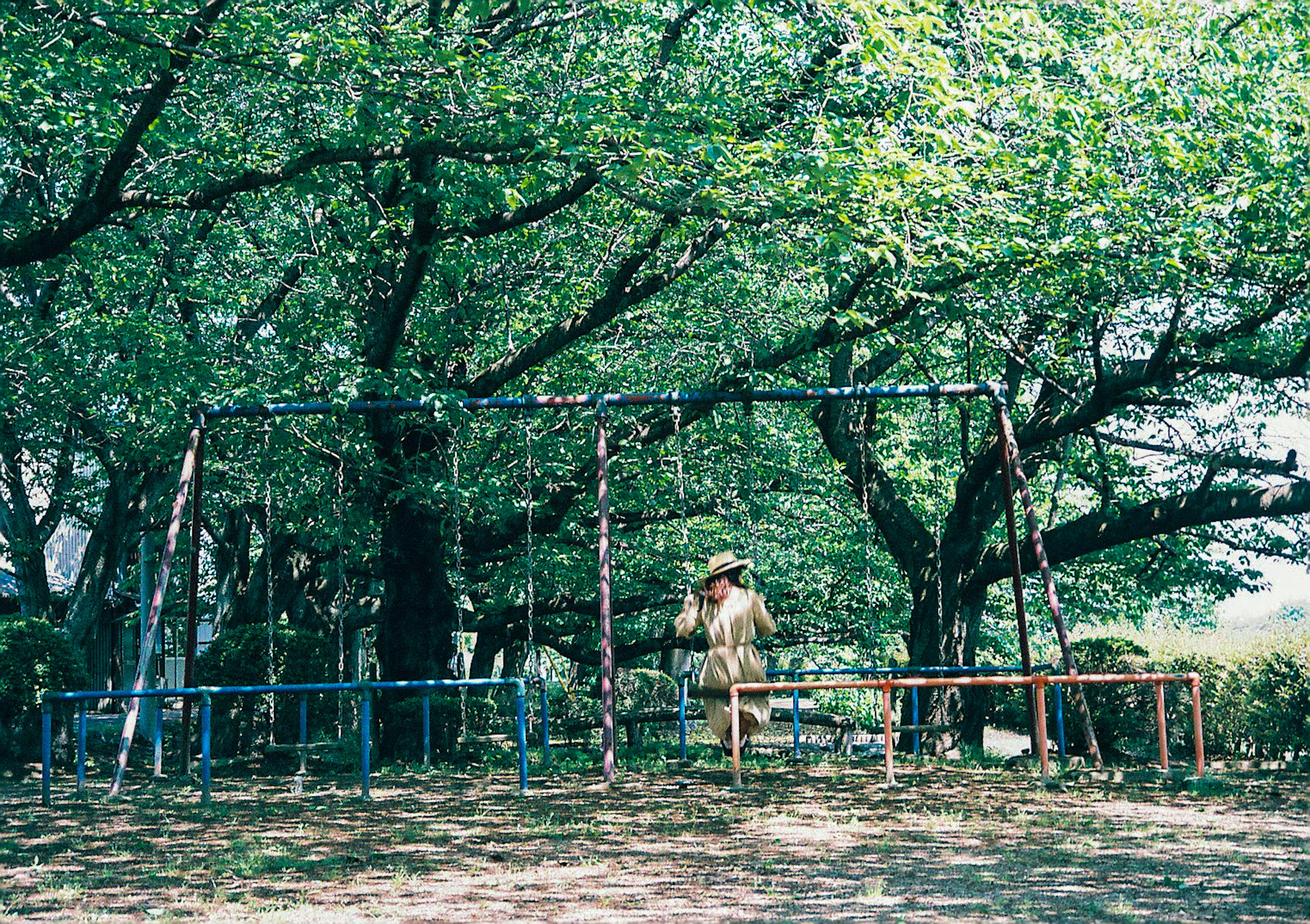 Une scène de parc avec des balançoires sous des arbres verdoyants